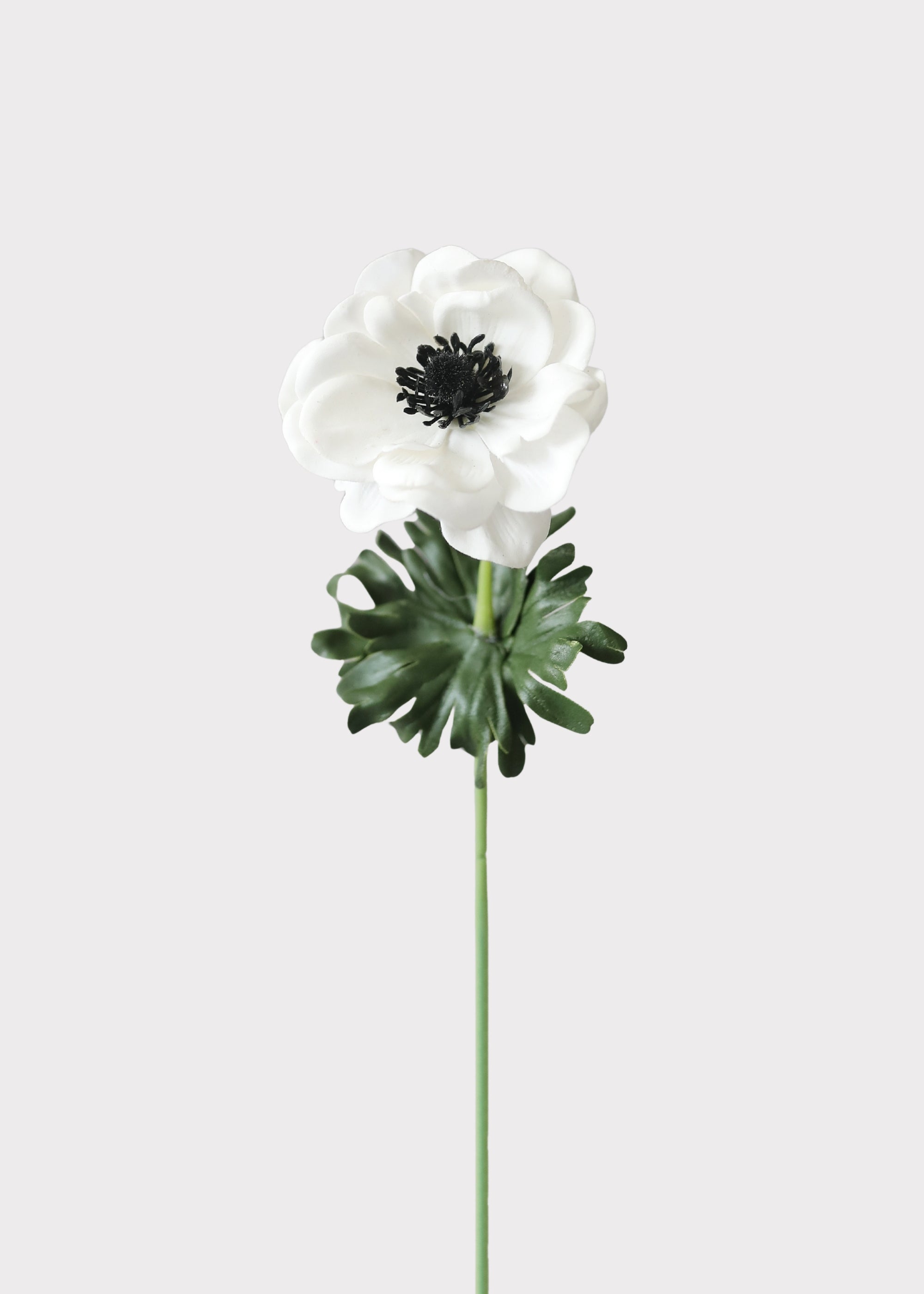 Anemone Stem in White | Real Touch Artificial Flowers | Afloral