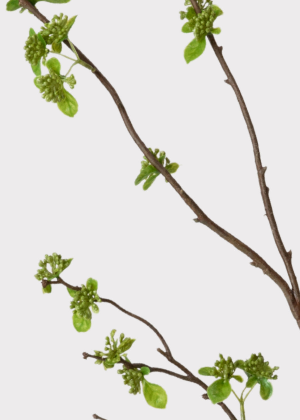 Green Budding Branch Faux Flowers at Afloral