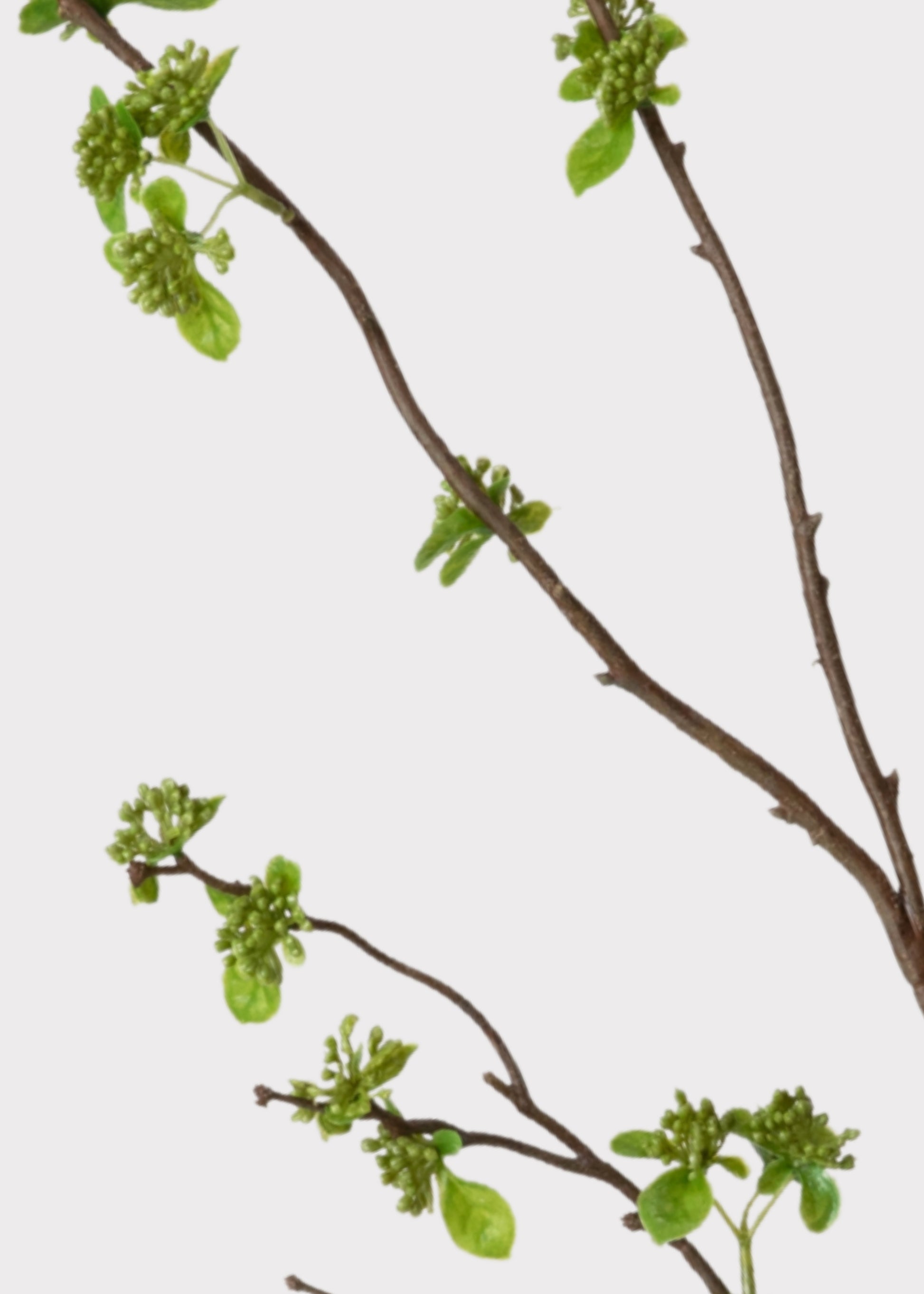 Green Budding Branch Faux Flowers at Afloral