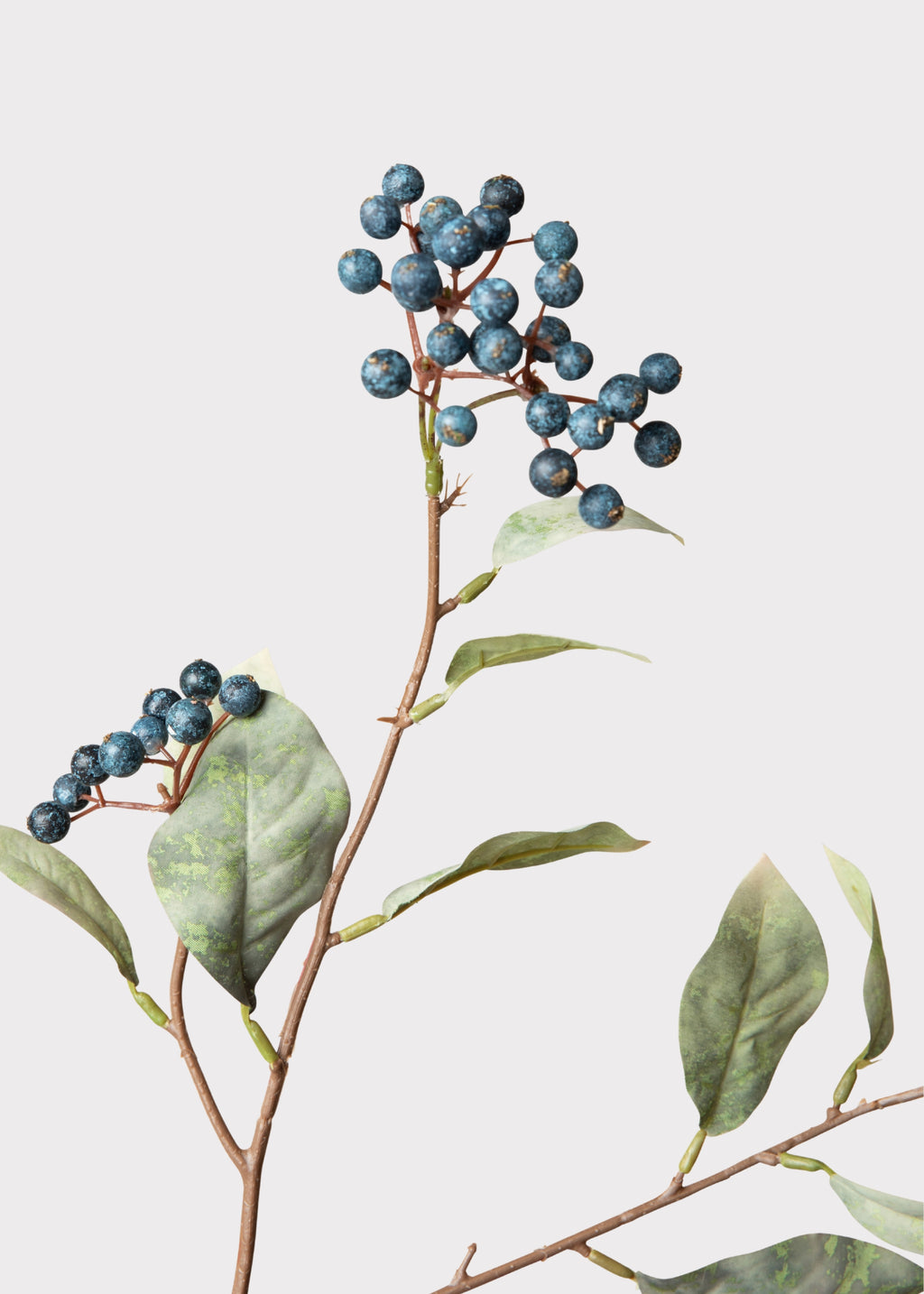 Blue Berries