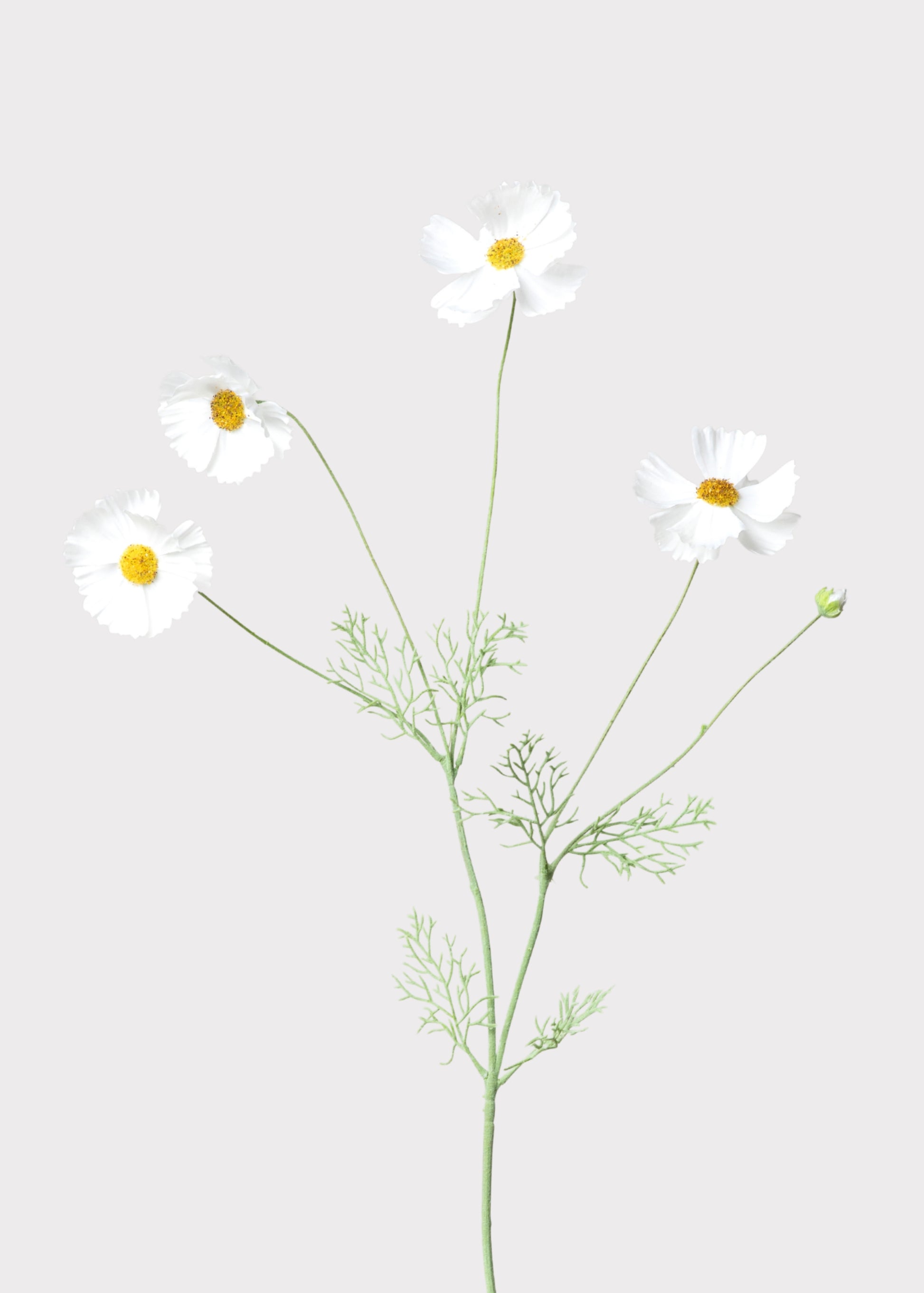 Faux Cosmos Daisies