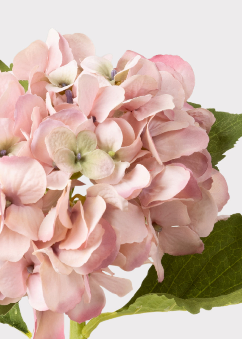 Close-up of Artificial Pink Hydrangea