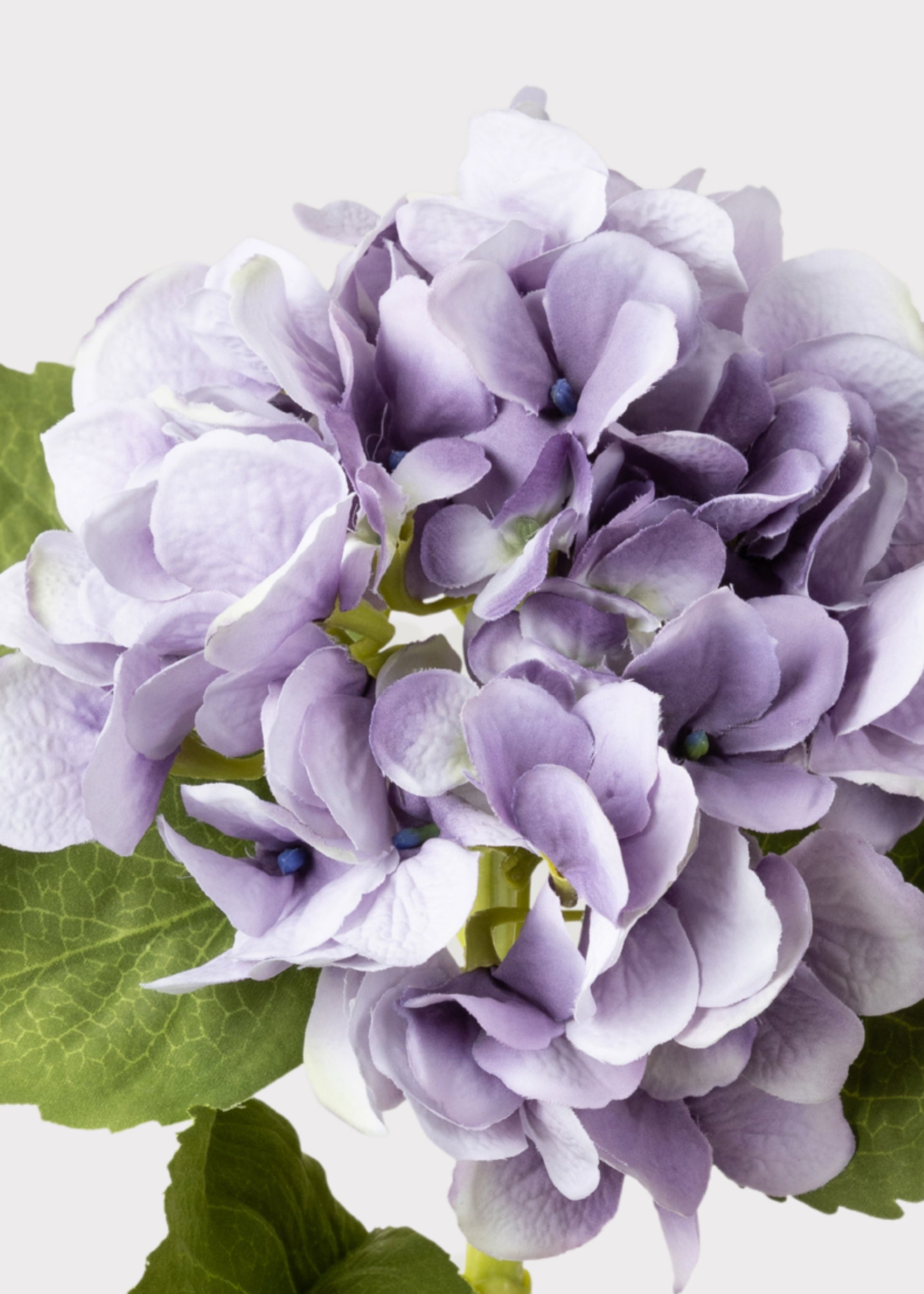 Close-up of Faux Lavender Hydrangea