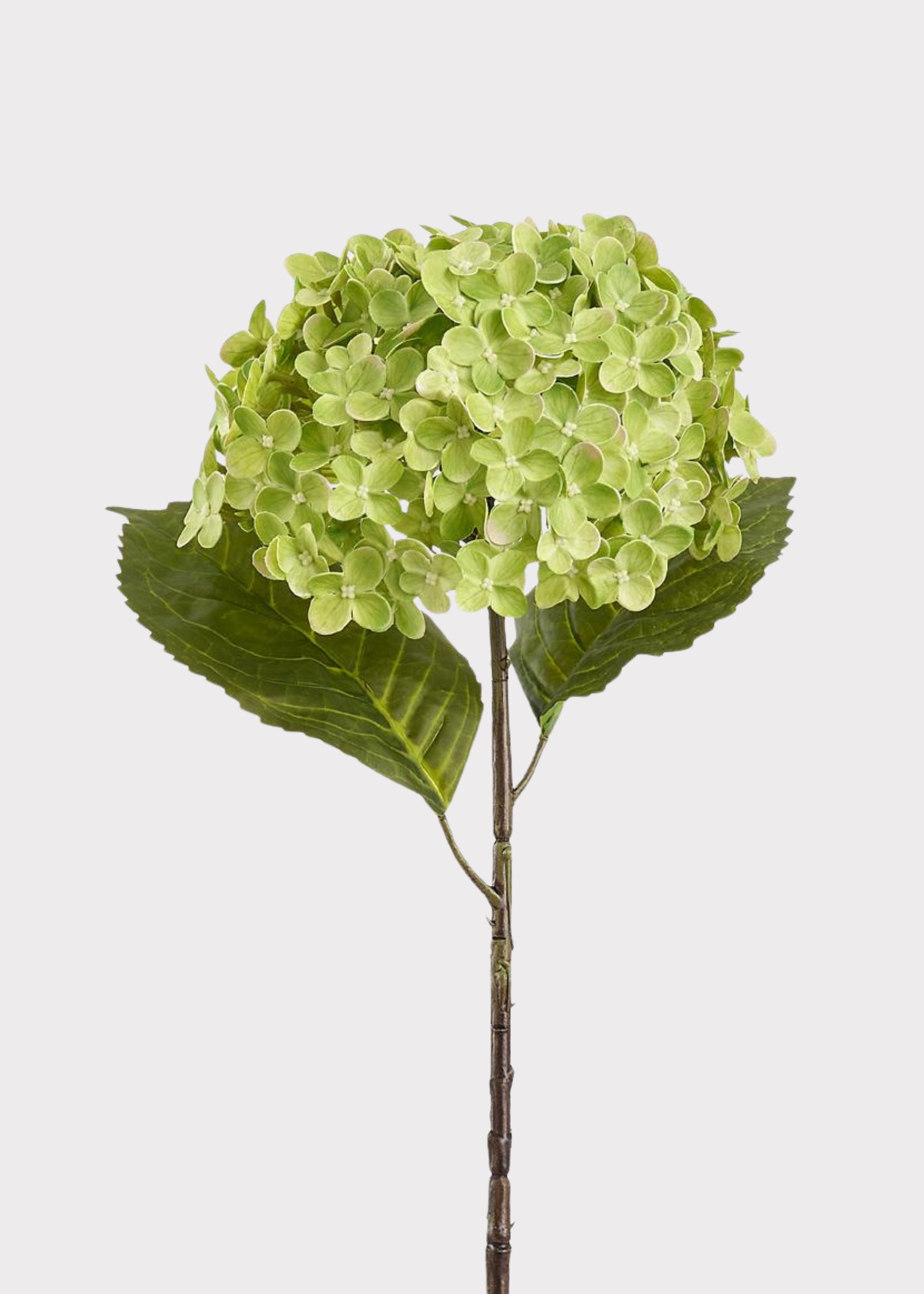 Green Artificial Hydrangea