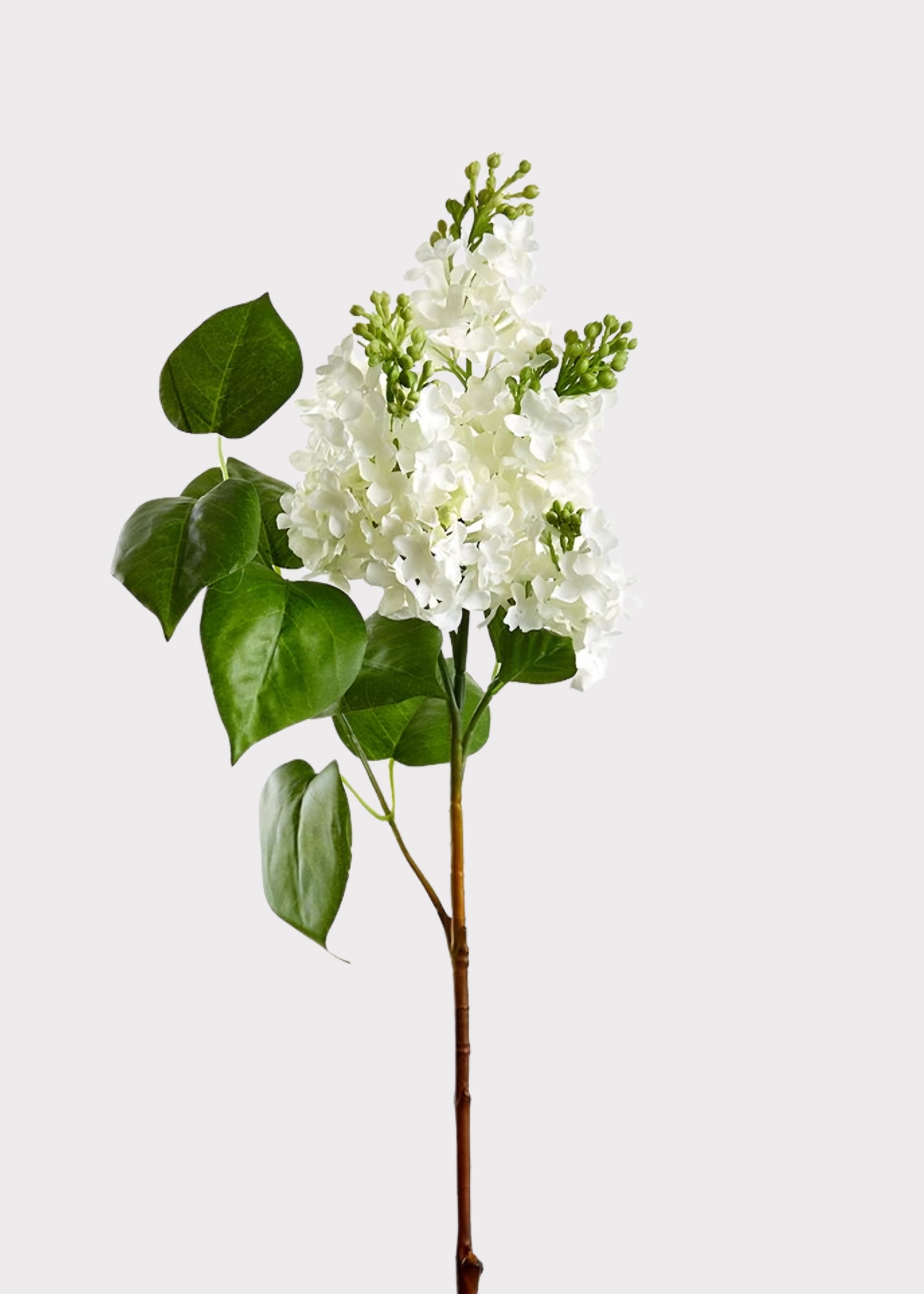 Afloral Fake Blooming Flowers Lilac Branch in White