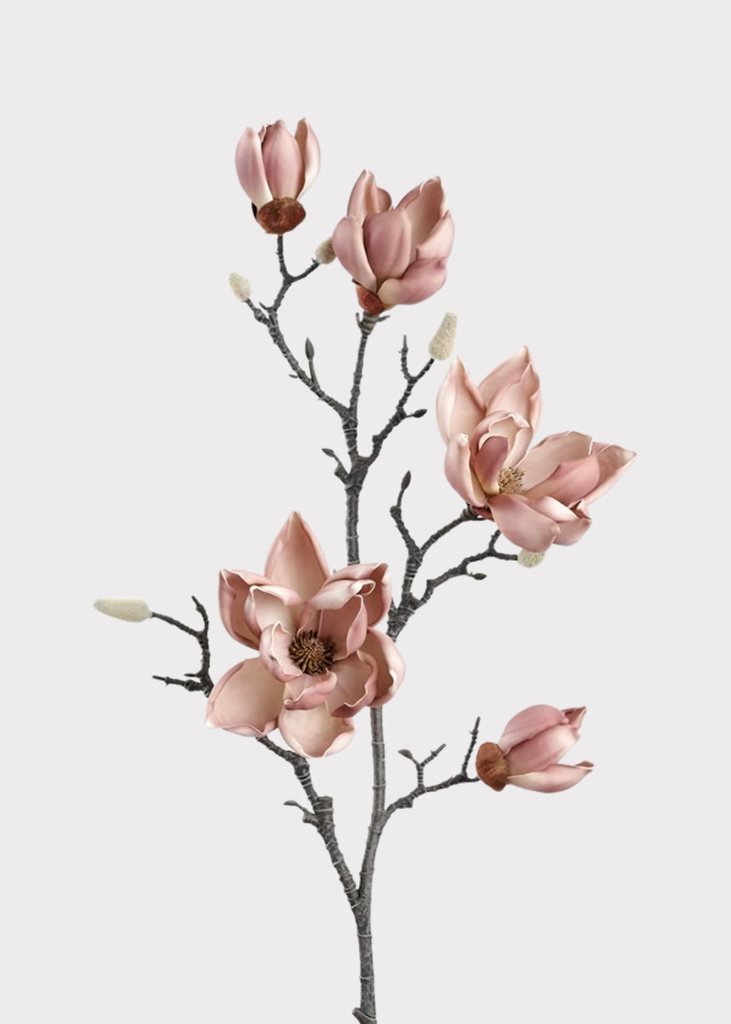 Mauve Beige Premium Magnolia Flower Branch