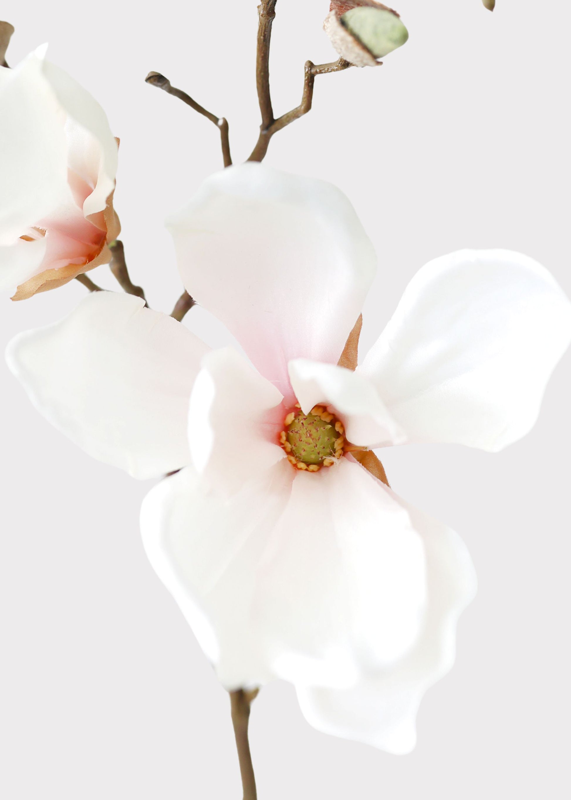Close-up of a Blush Pink Fake Magnolia Flower 