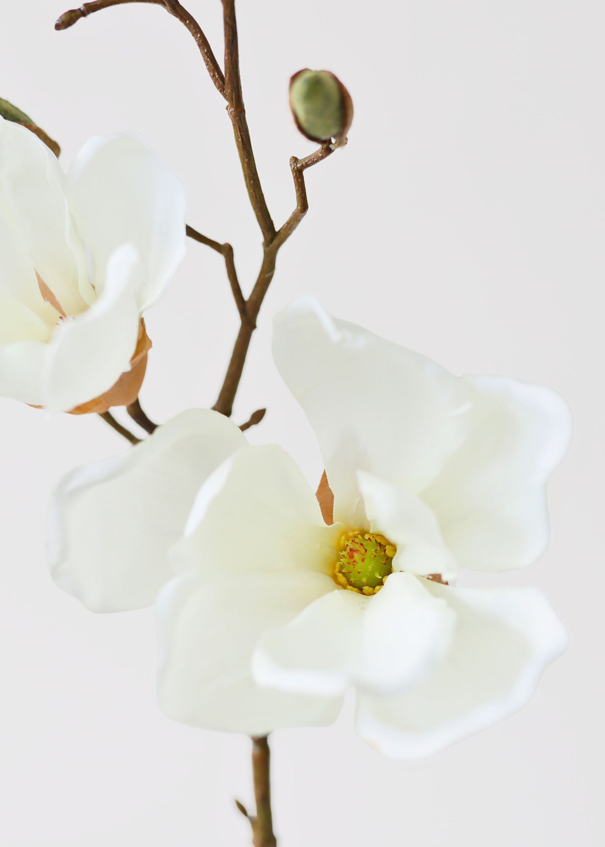 Faux Magnolia Branch in Cream