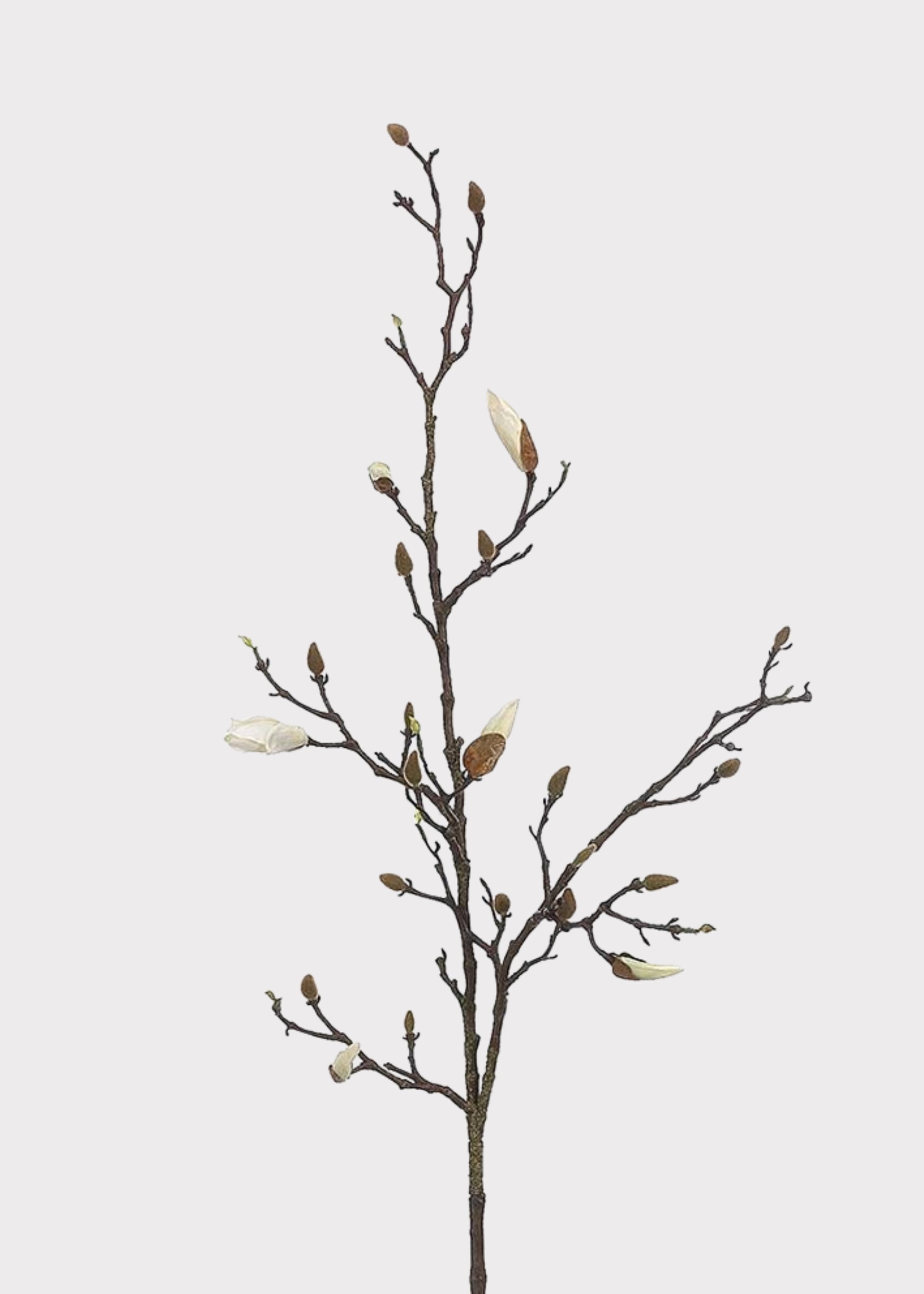 Cream White Tall Budding Magnolia Fake Flower Branch