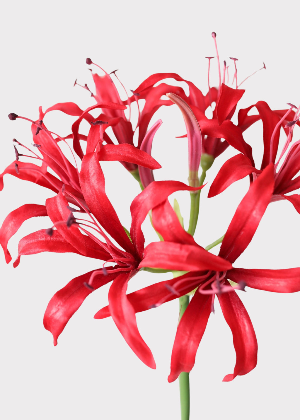 Artificial Nerine Spider Lily in Red