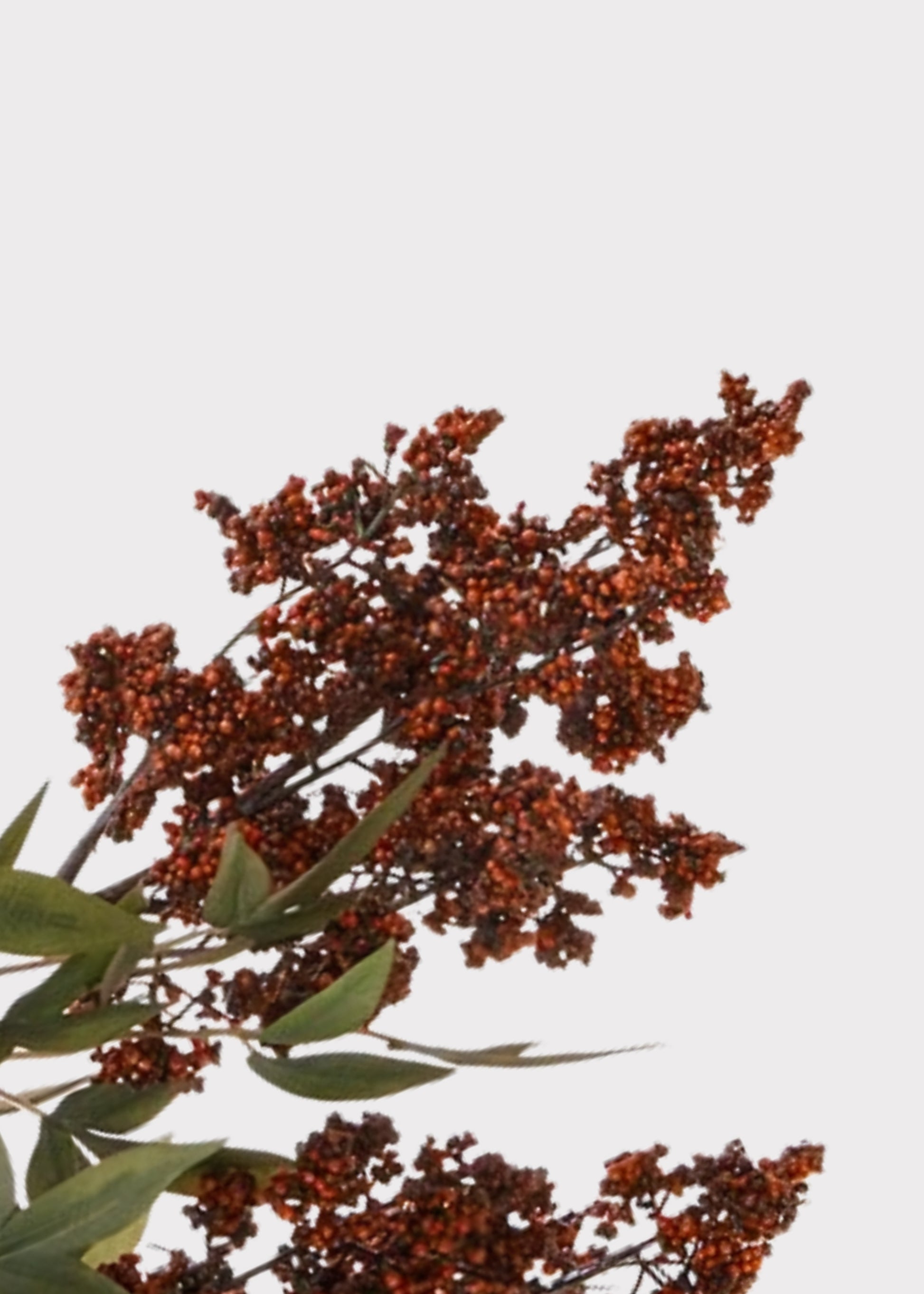 Close-up of Artificial Burgundy Berry Branch with Hanging Stems