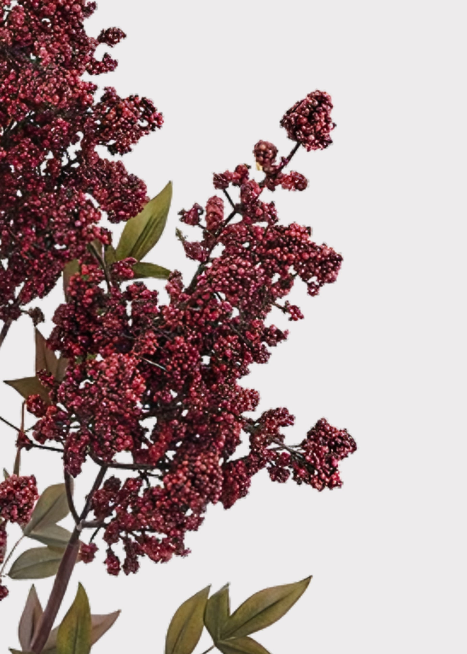 Close-up of Artificial Nandina Berry Branch in Burgundy