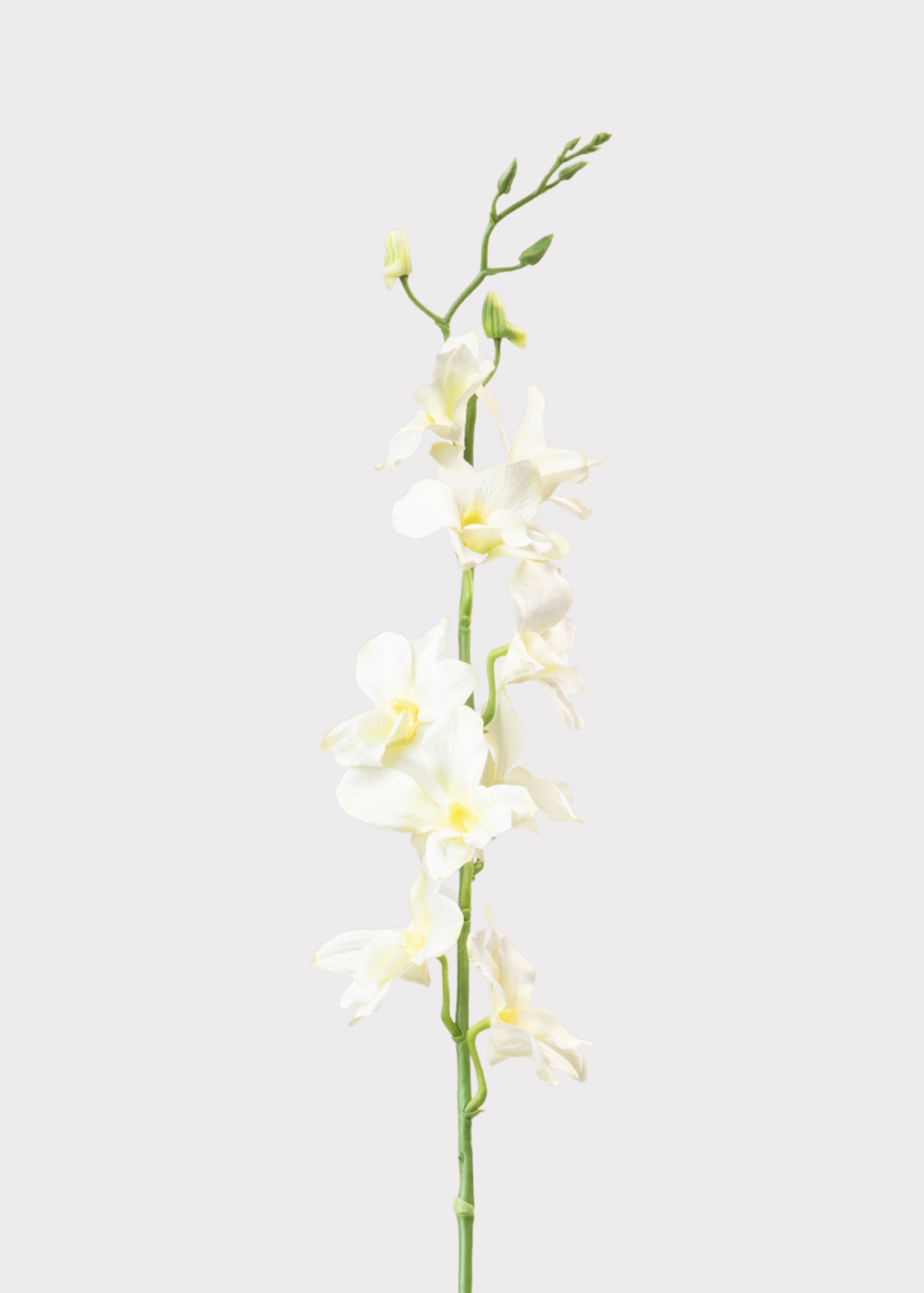 Cream Artificial Dendrobium Orchid Flower Stem