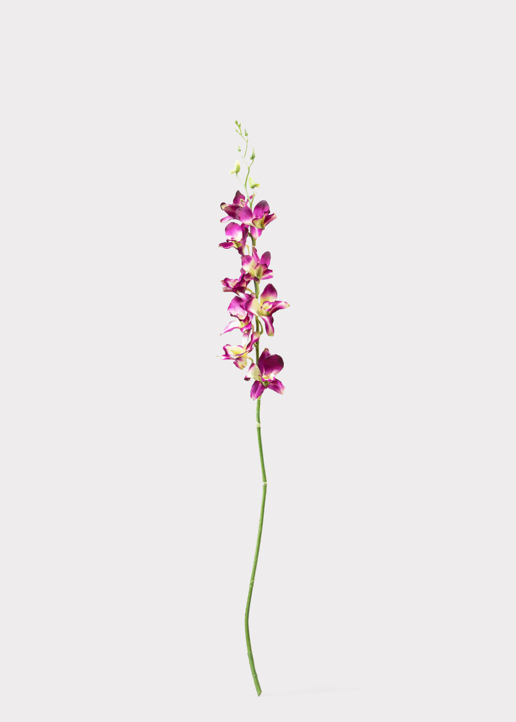 Artificial Dendrobium Orchid in Purple