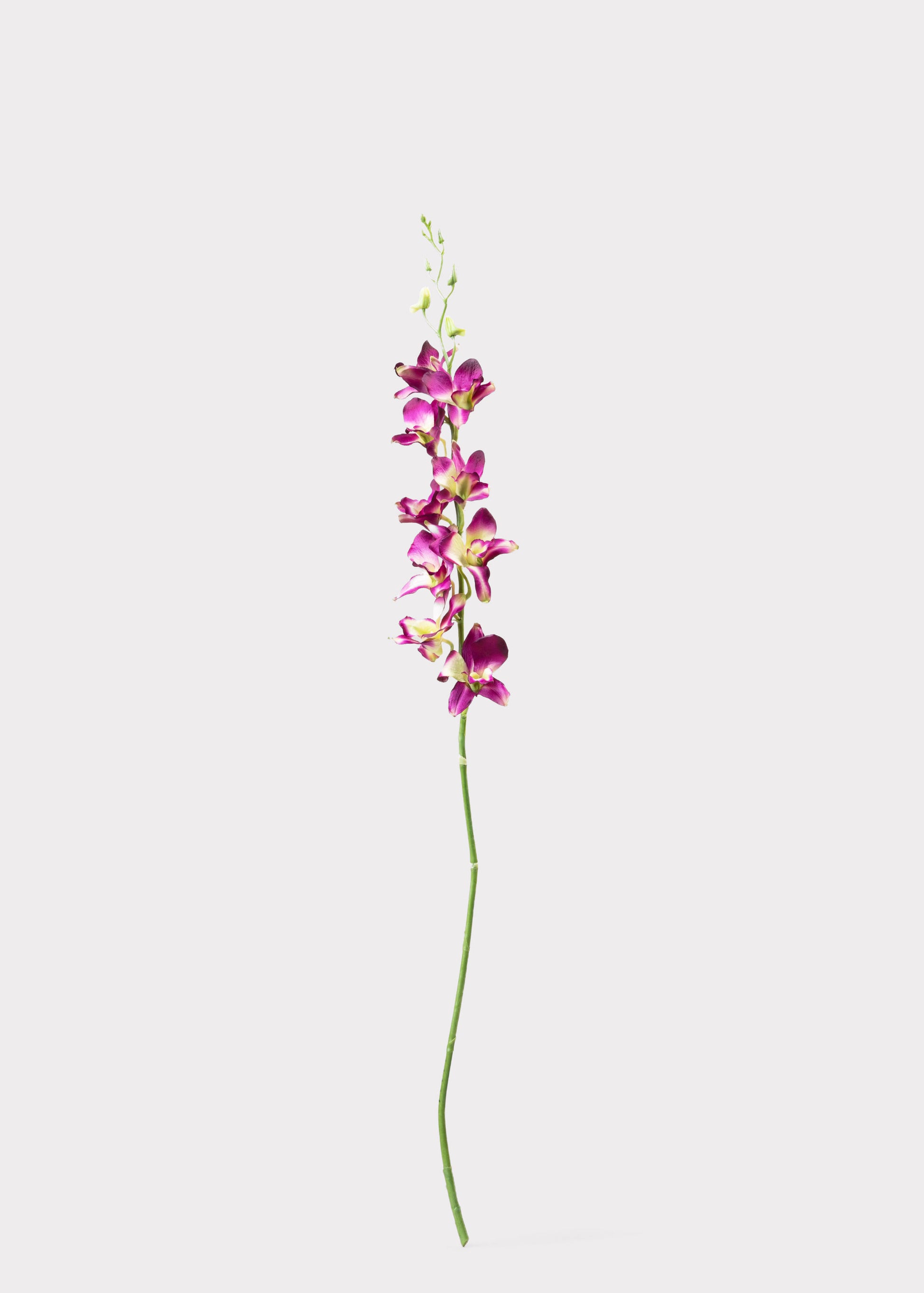 Artificial Dendrobium Orchid in Purple