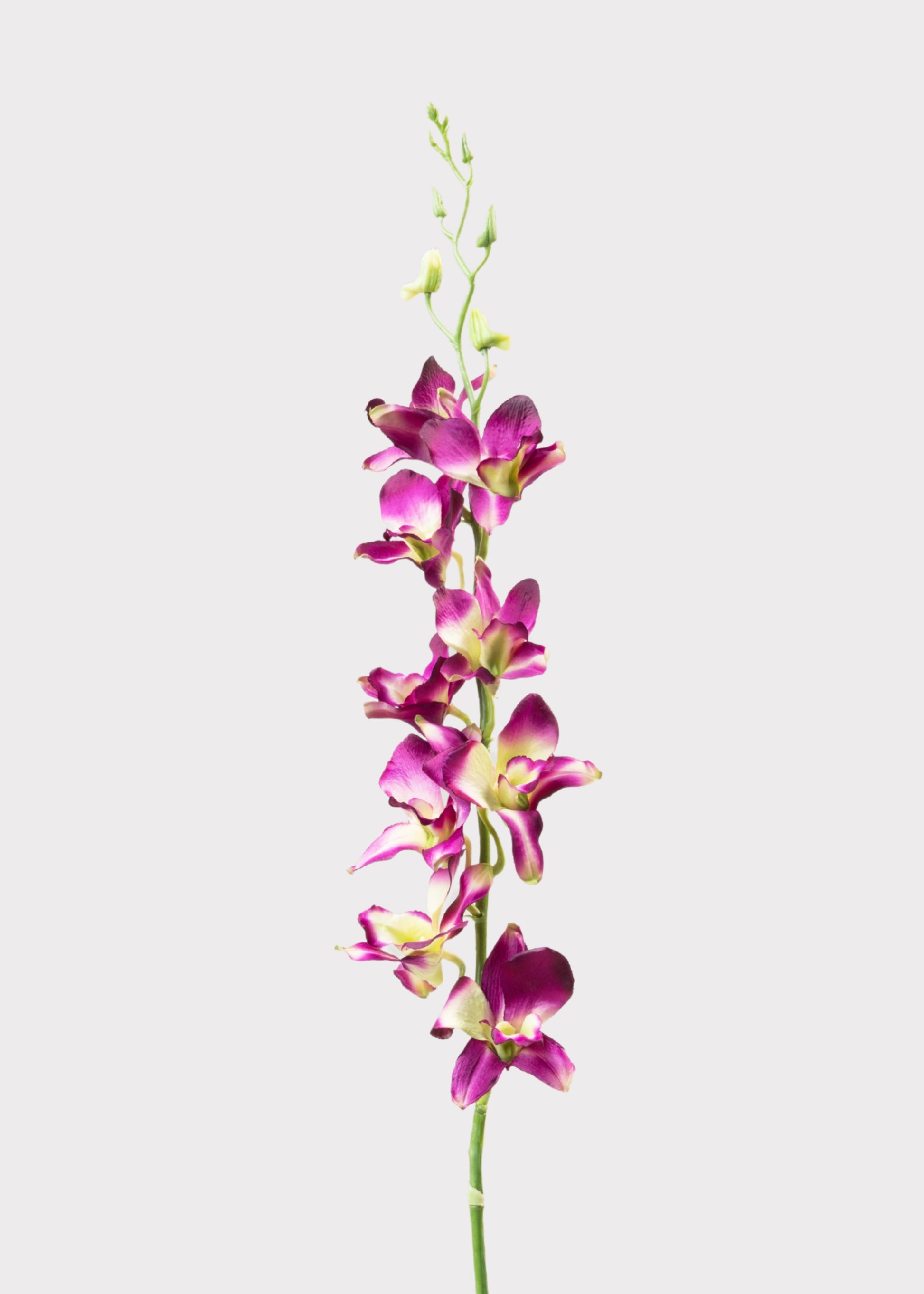 Purple Artificial Dendrobium Orchid Flower Branch