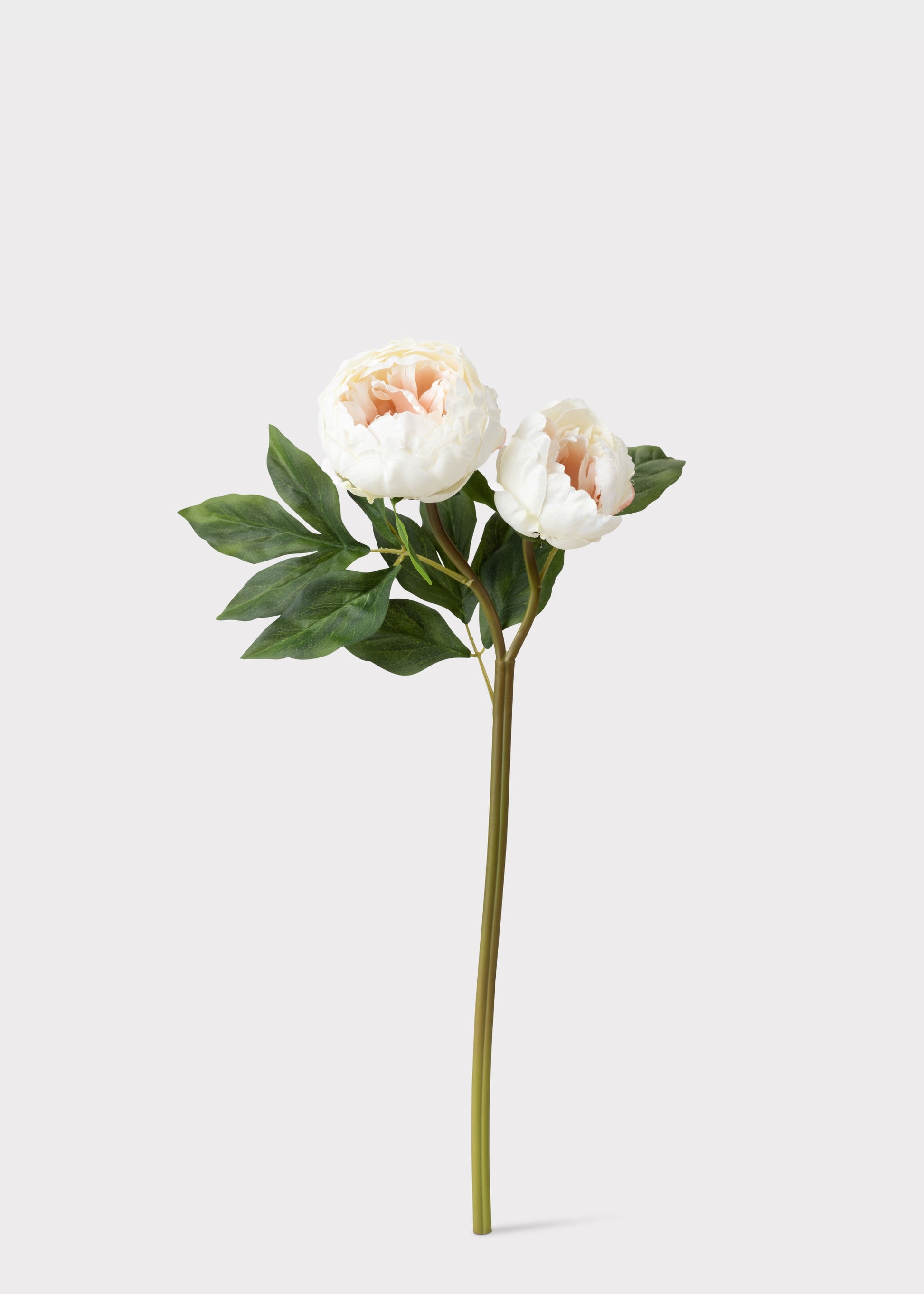  Artificial Peony in Cream