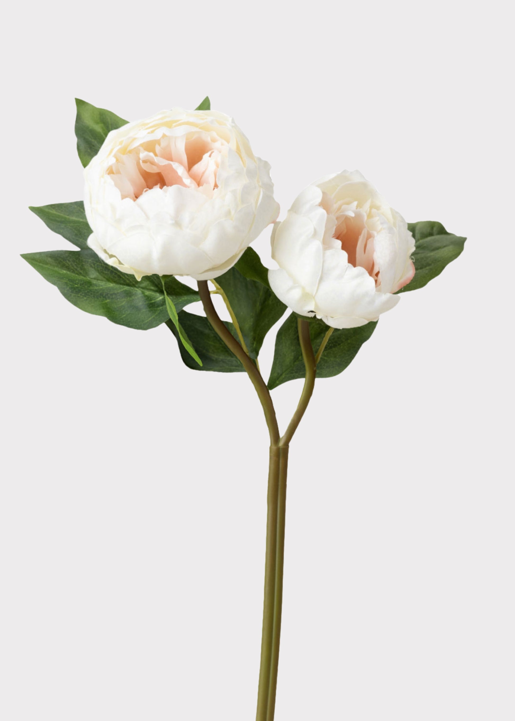Cream Artificial Peony Flowers