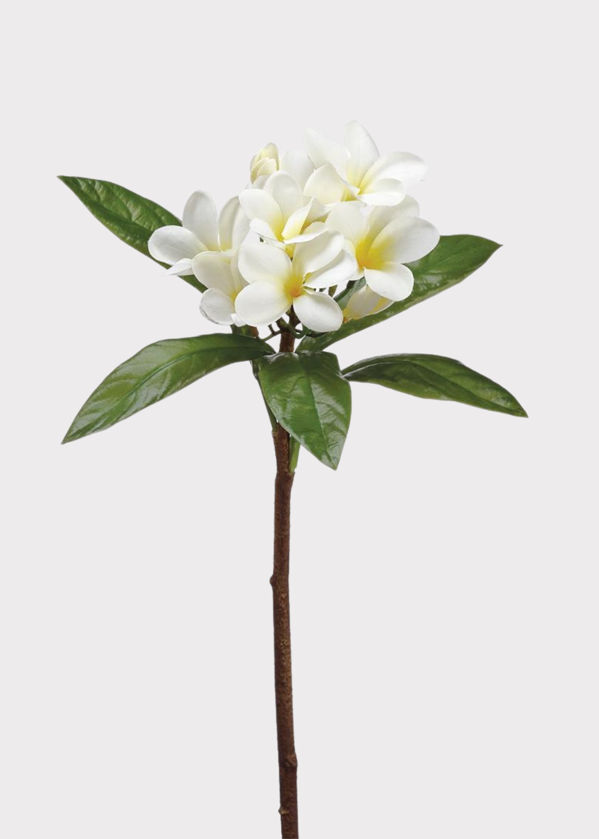 Tropical Plumeria Artificial Flowers in Cream Yellow
