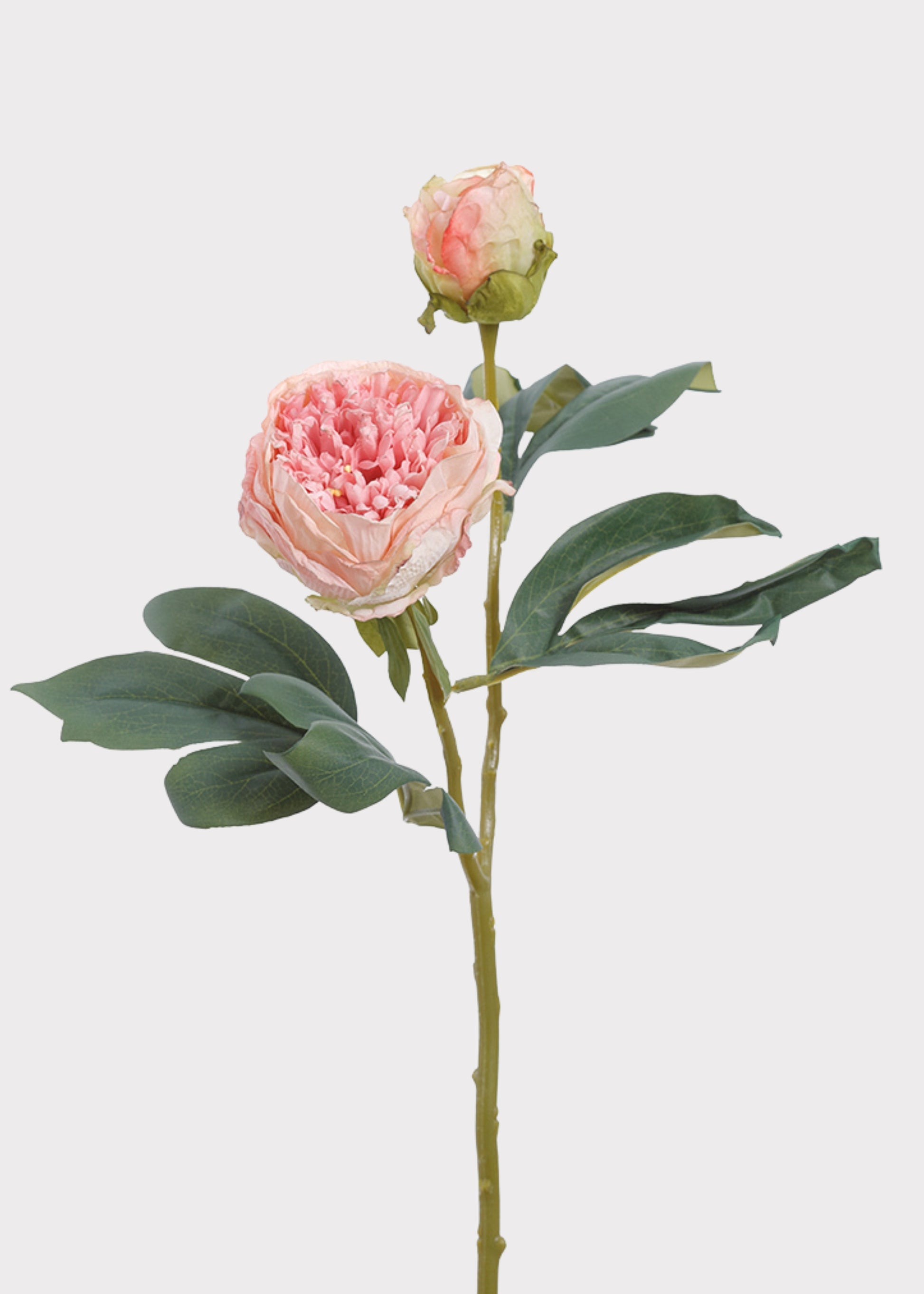 Dried Look Artificial Peony