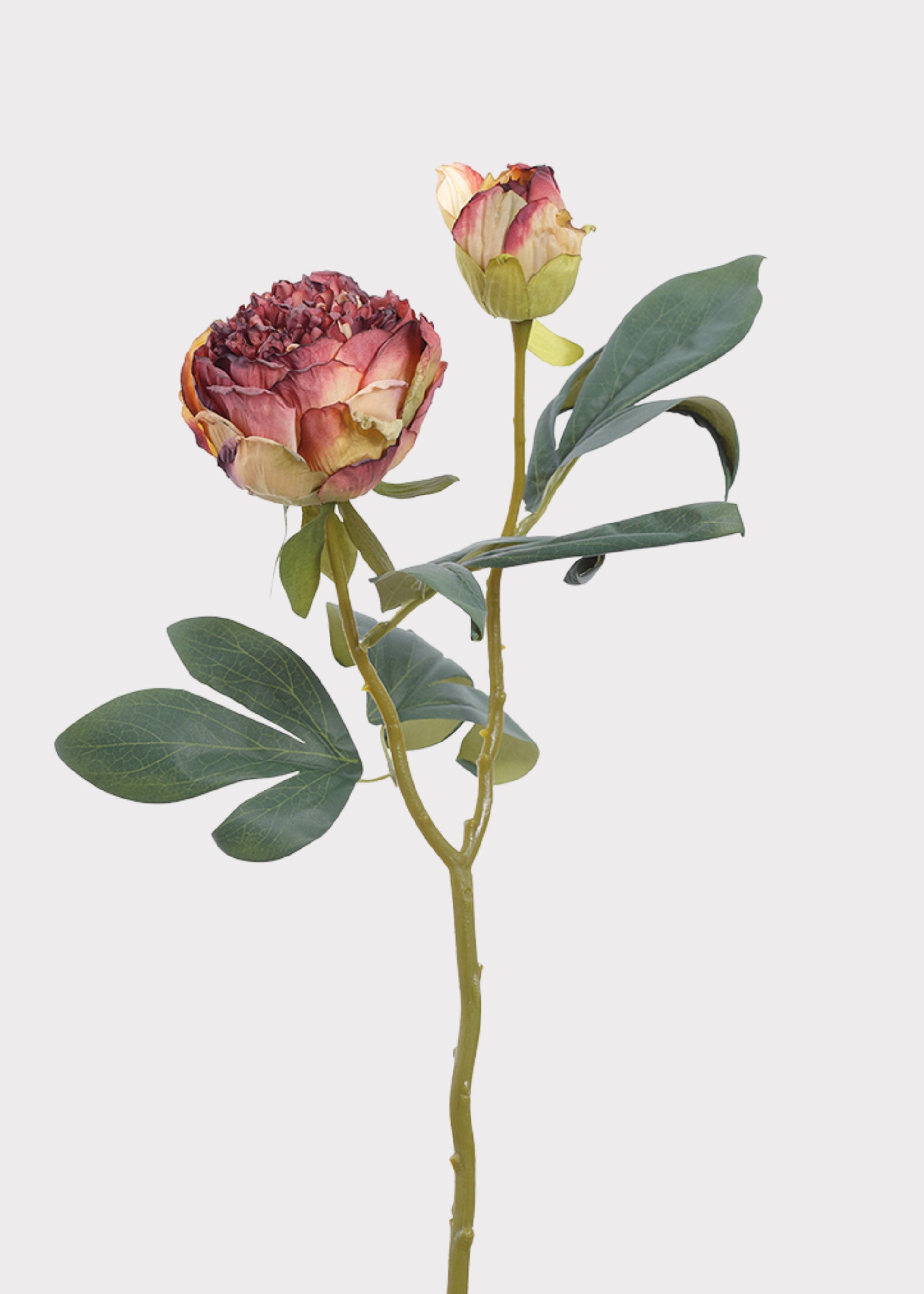 Dried Look Burgundy Artificial Peony