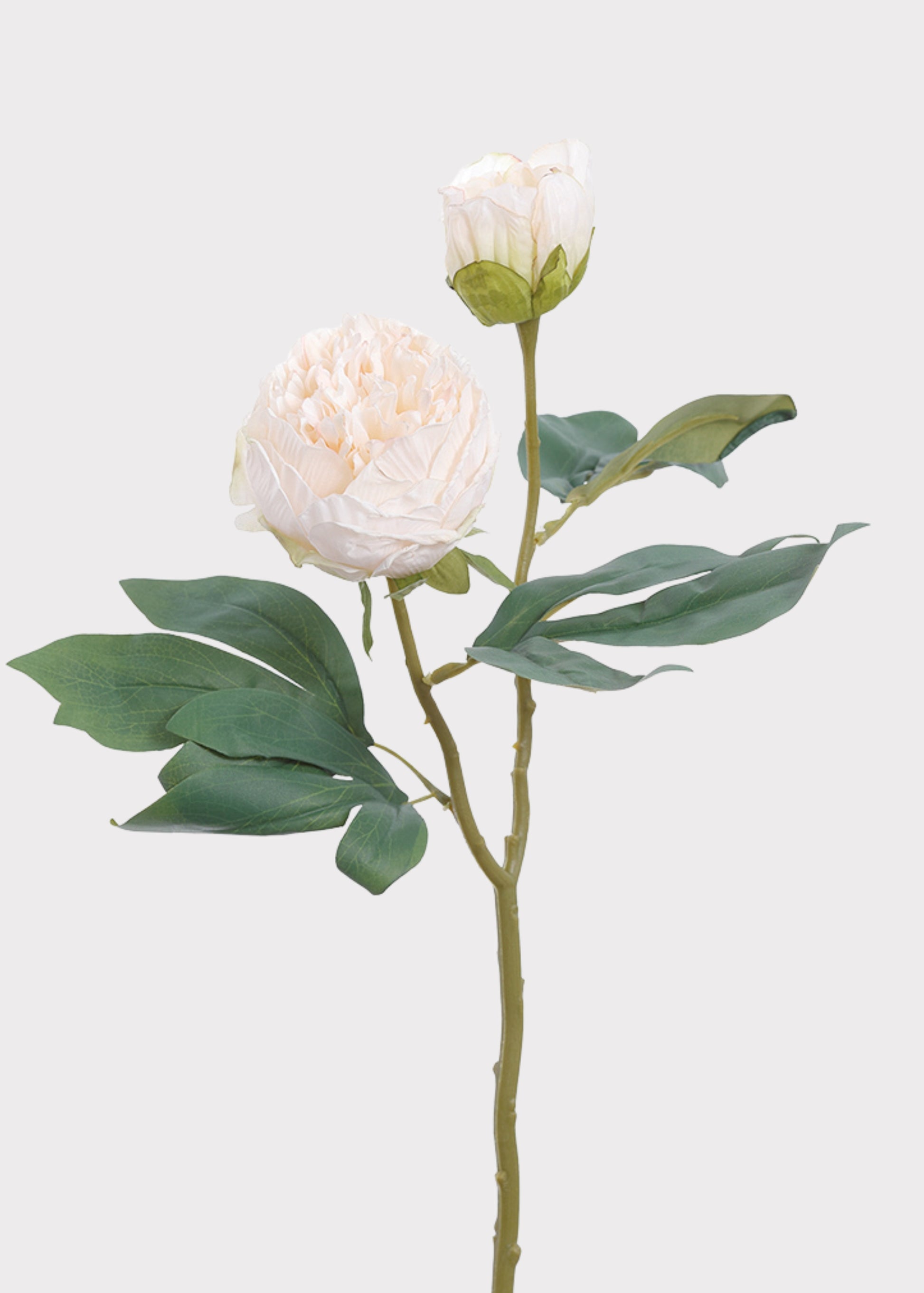 Dried Look Faux Peony 