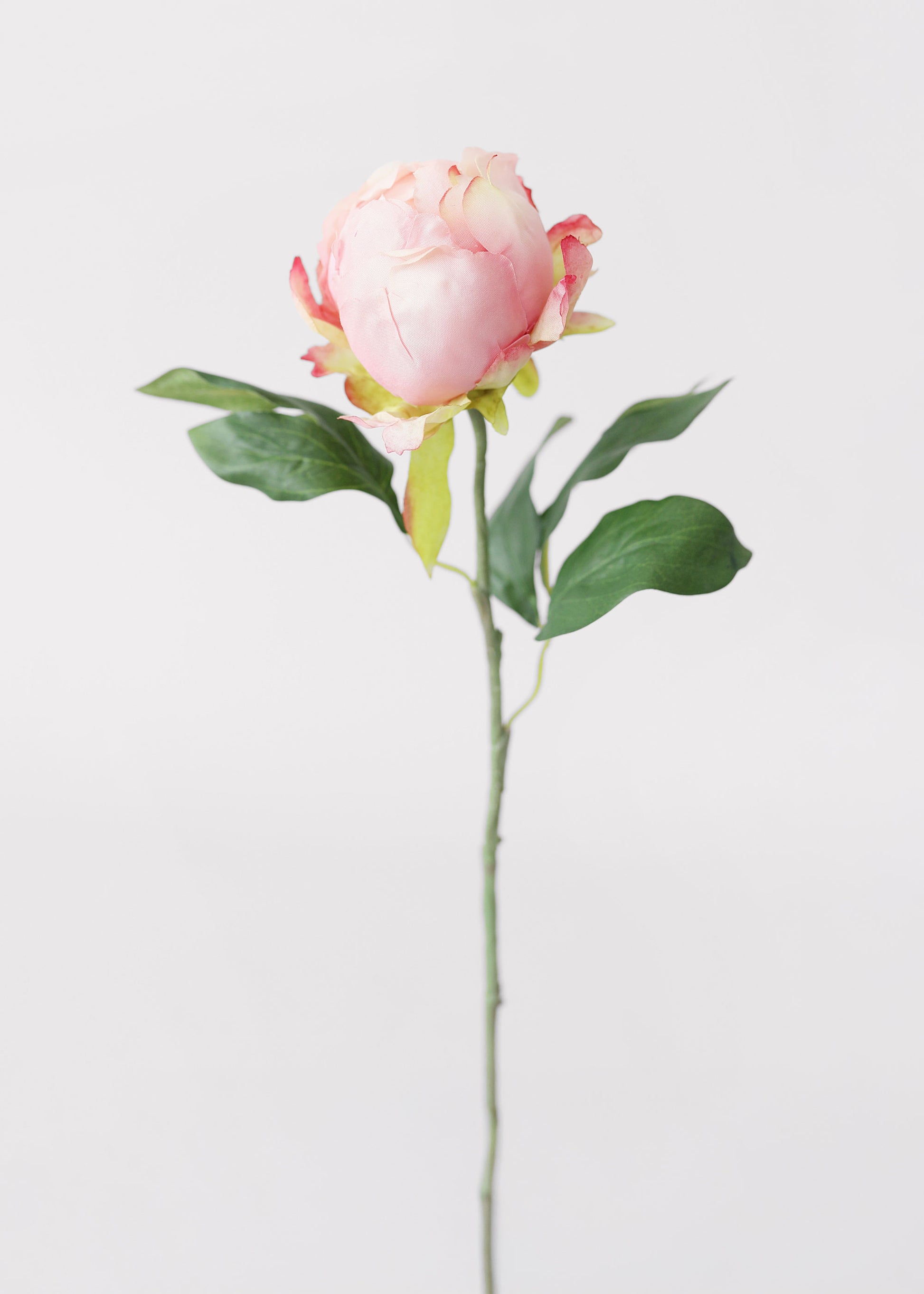 Faux Pink Peony Bud