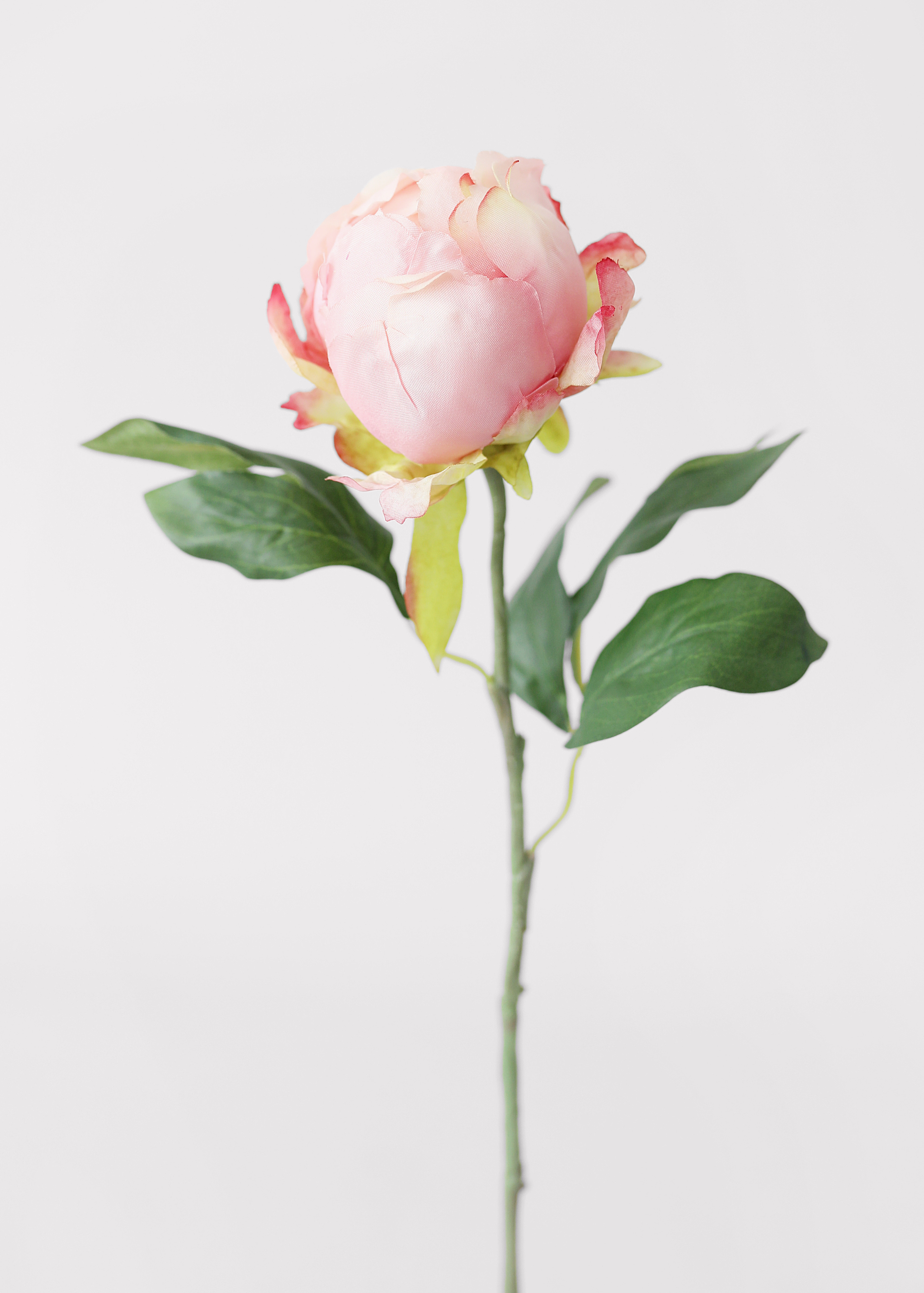 Faux Pink Peony Bud