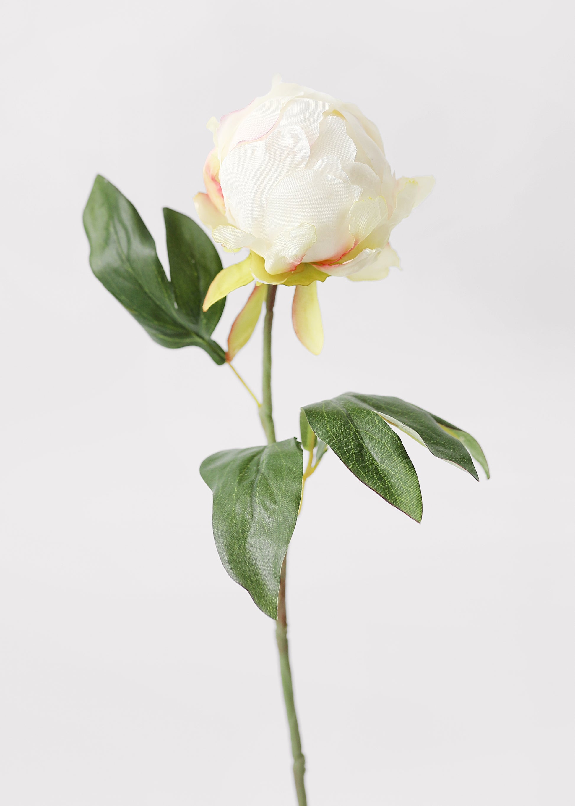 Cream Peony Bud Faux Flower Stem at Afloral