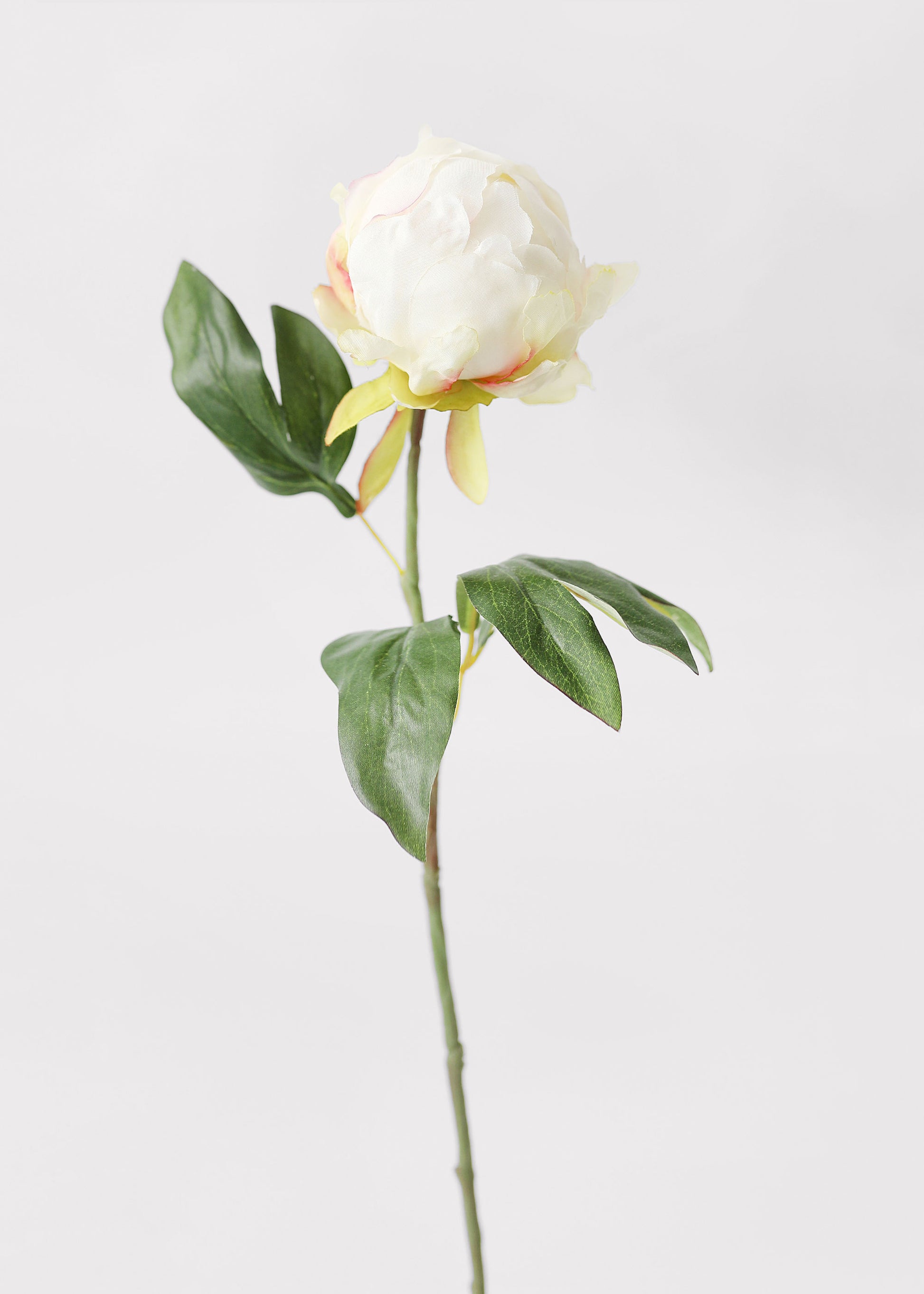 Cream Peony Bud Faux Flower Stem at Afloral