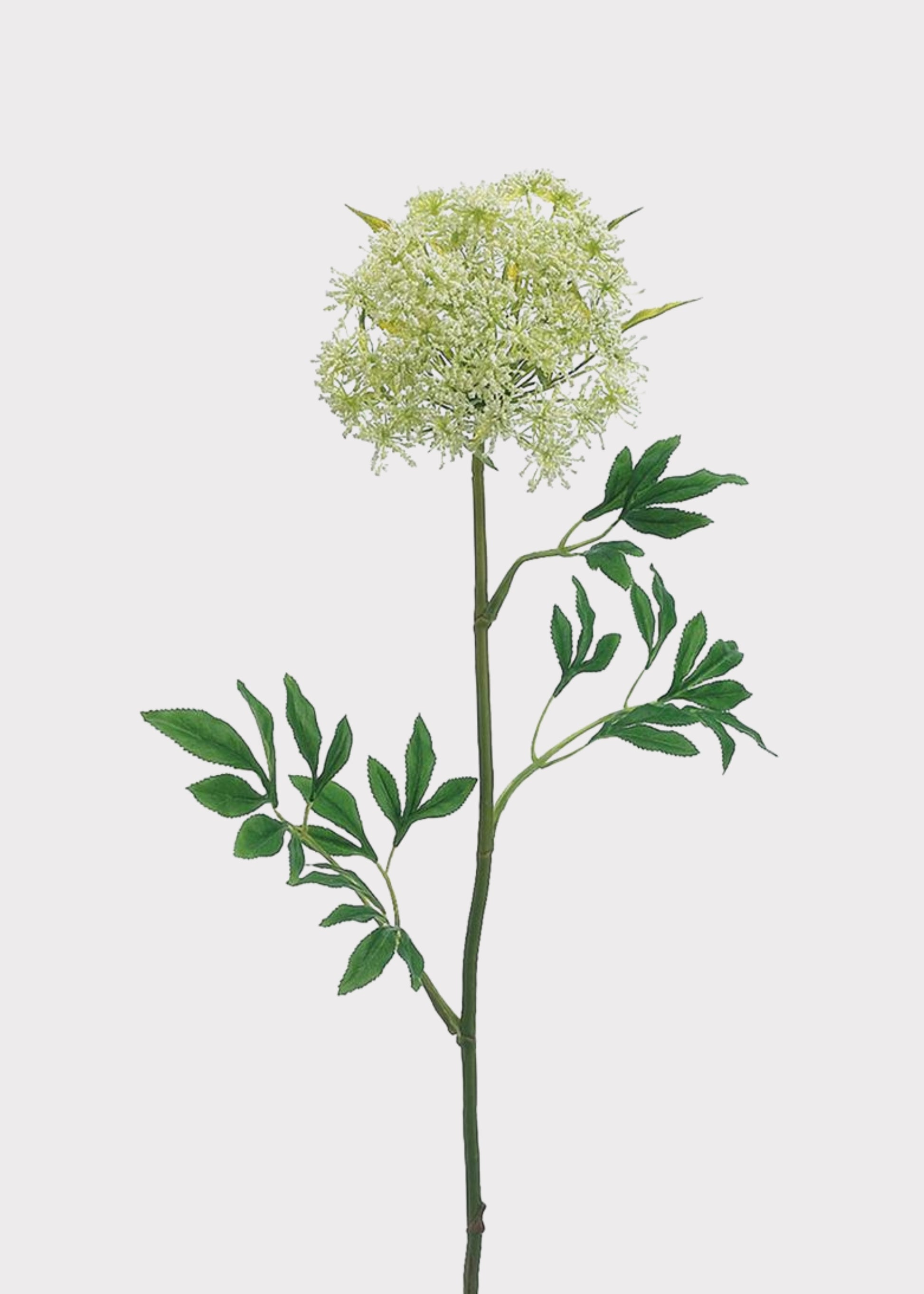 Tall Artificial Queen Anne's Lace 
