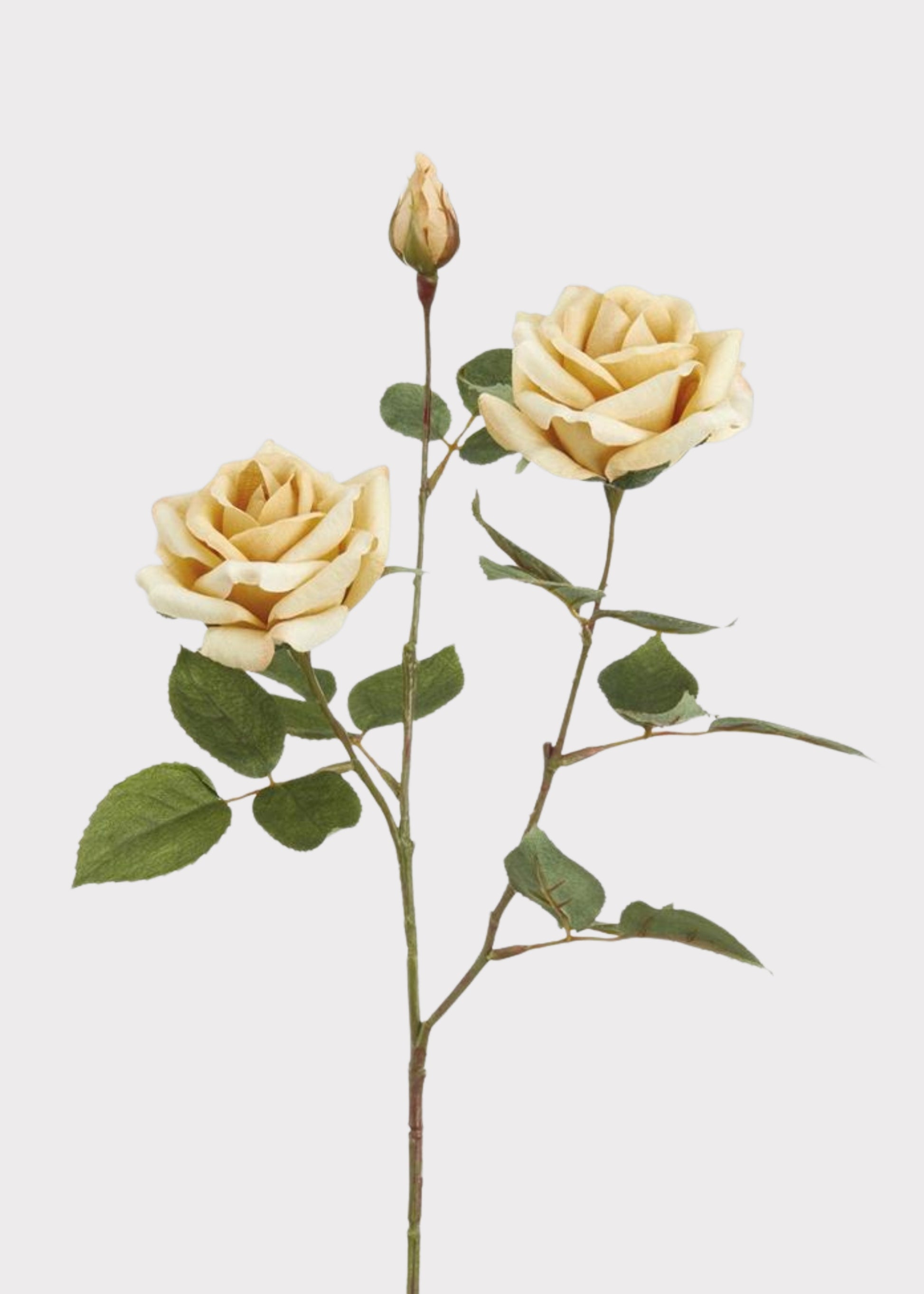 Rose Spray With 2 Flowers And 1 Bud Beige
