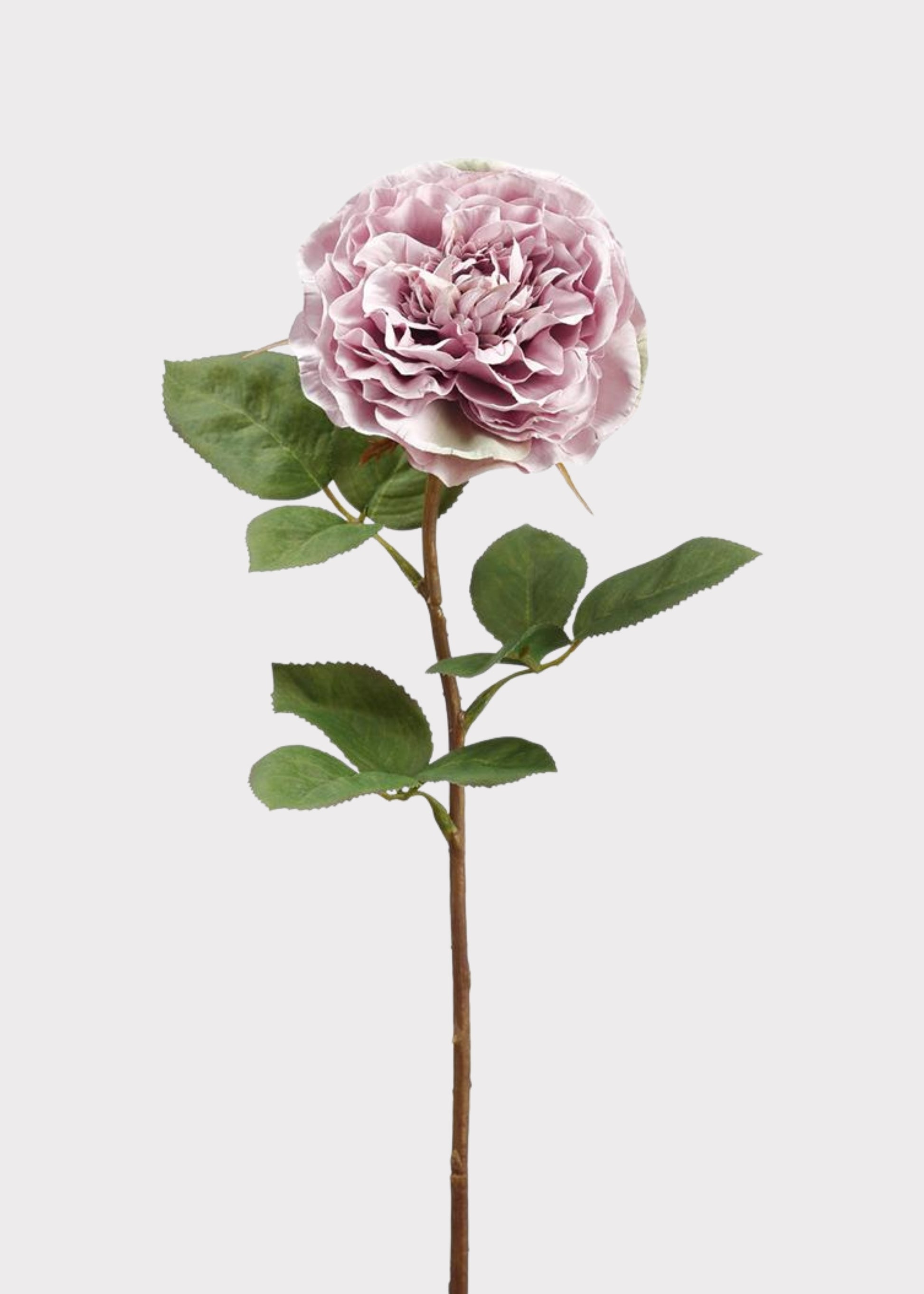 Lavender Artificial Cabbage Rose Flower 