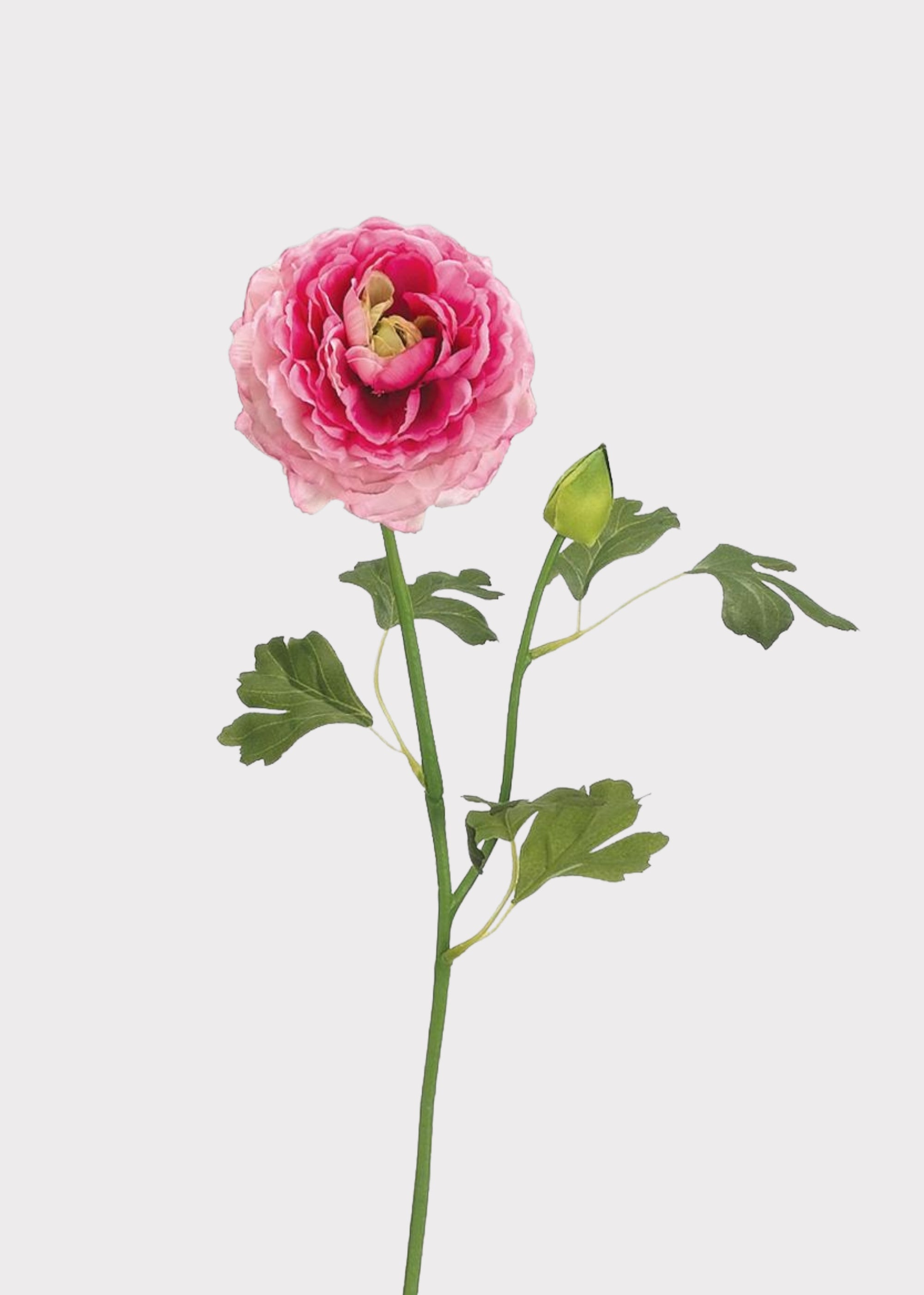 Artificial Ranunculus Flower in Cerise Pink - 19