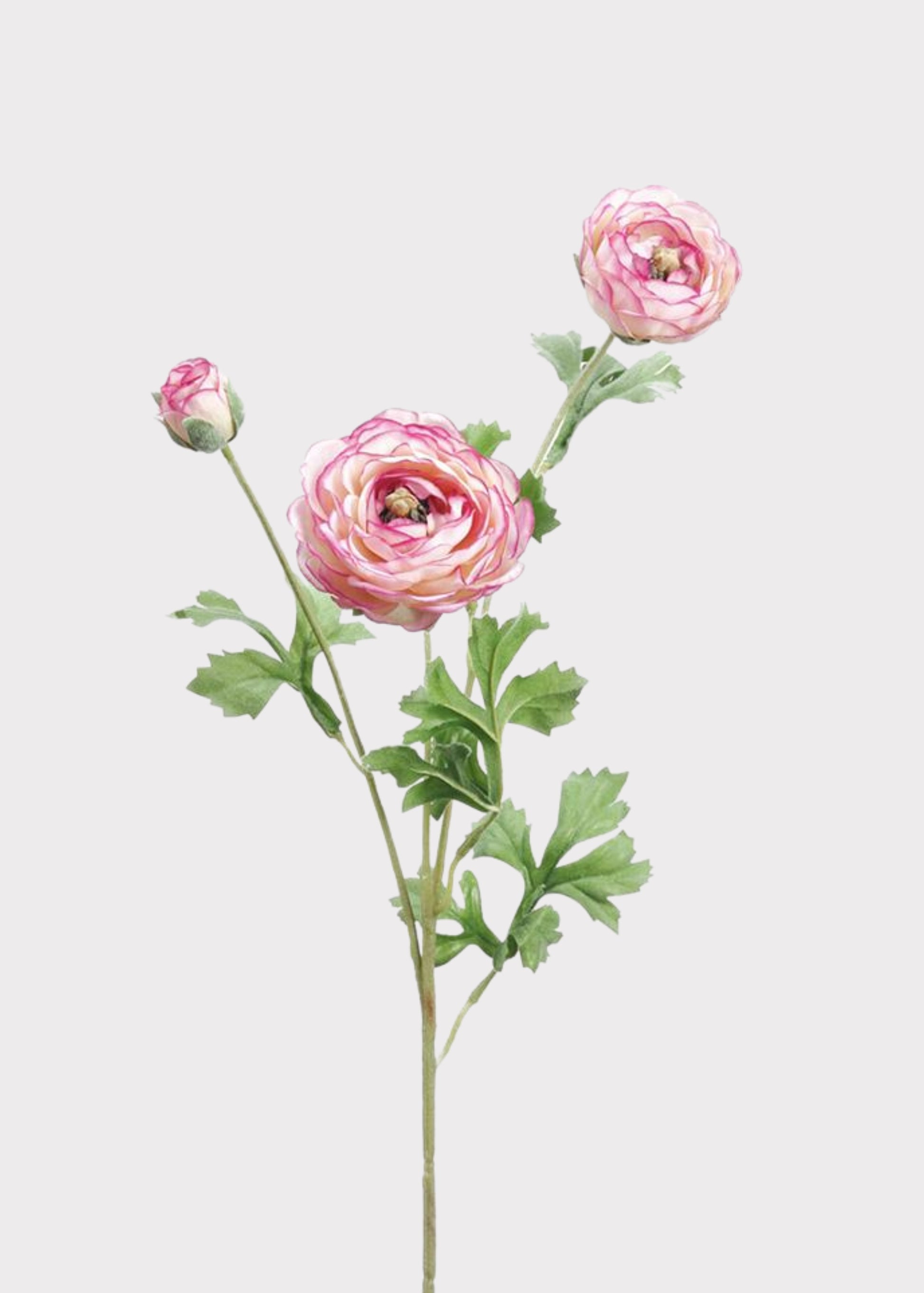 Pink and Cream Fake Ranunculus Flowers