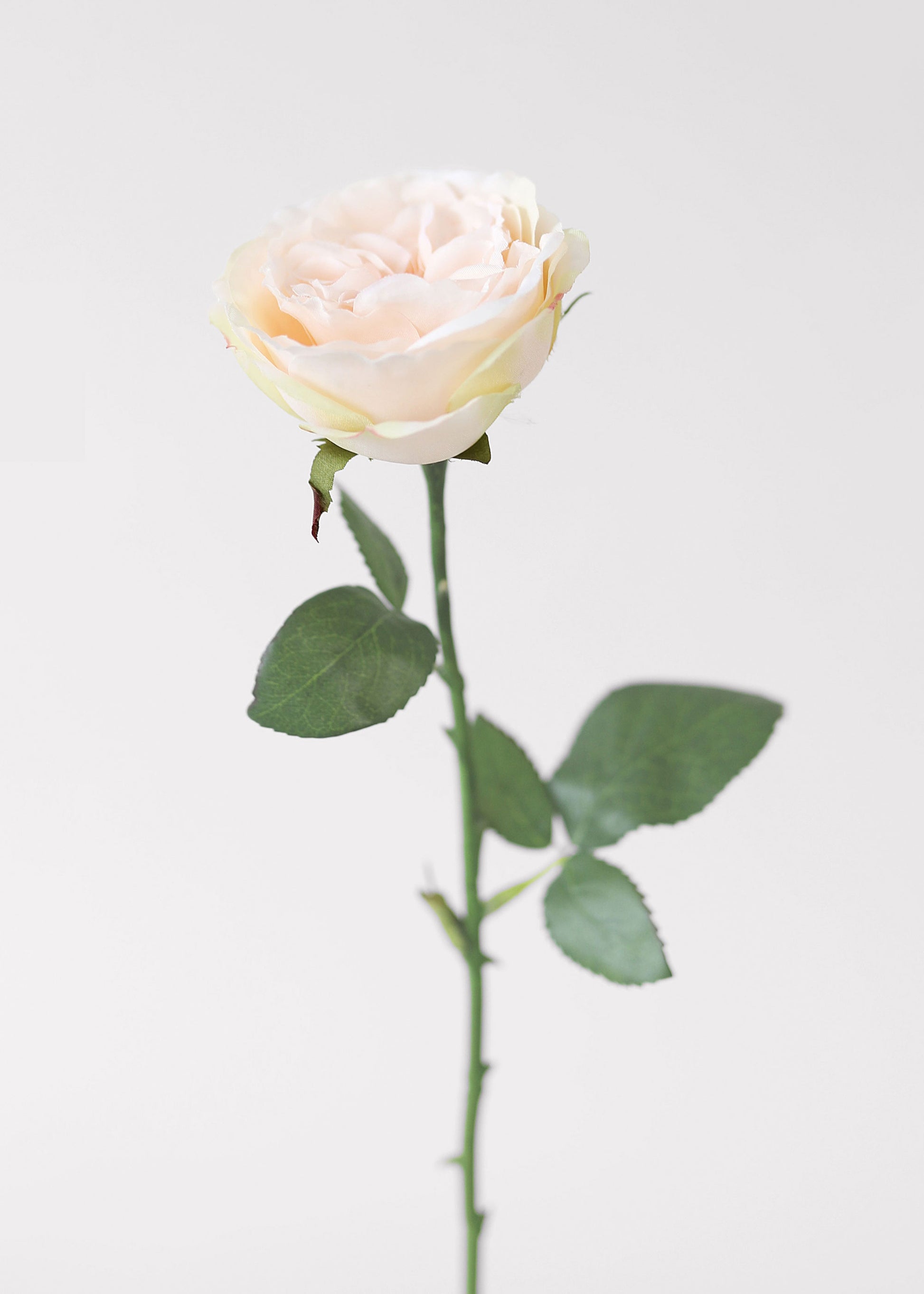 artificial apricot pink rose stem