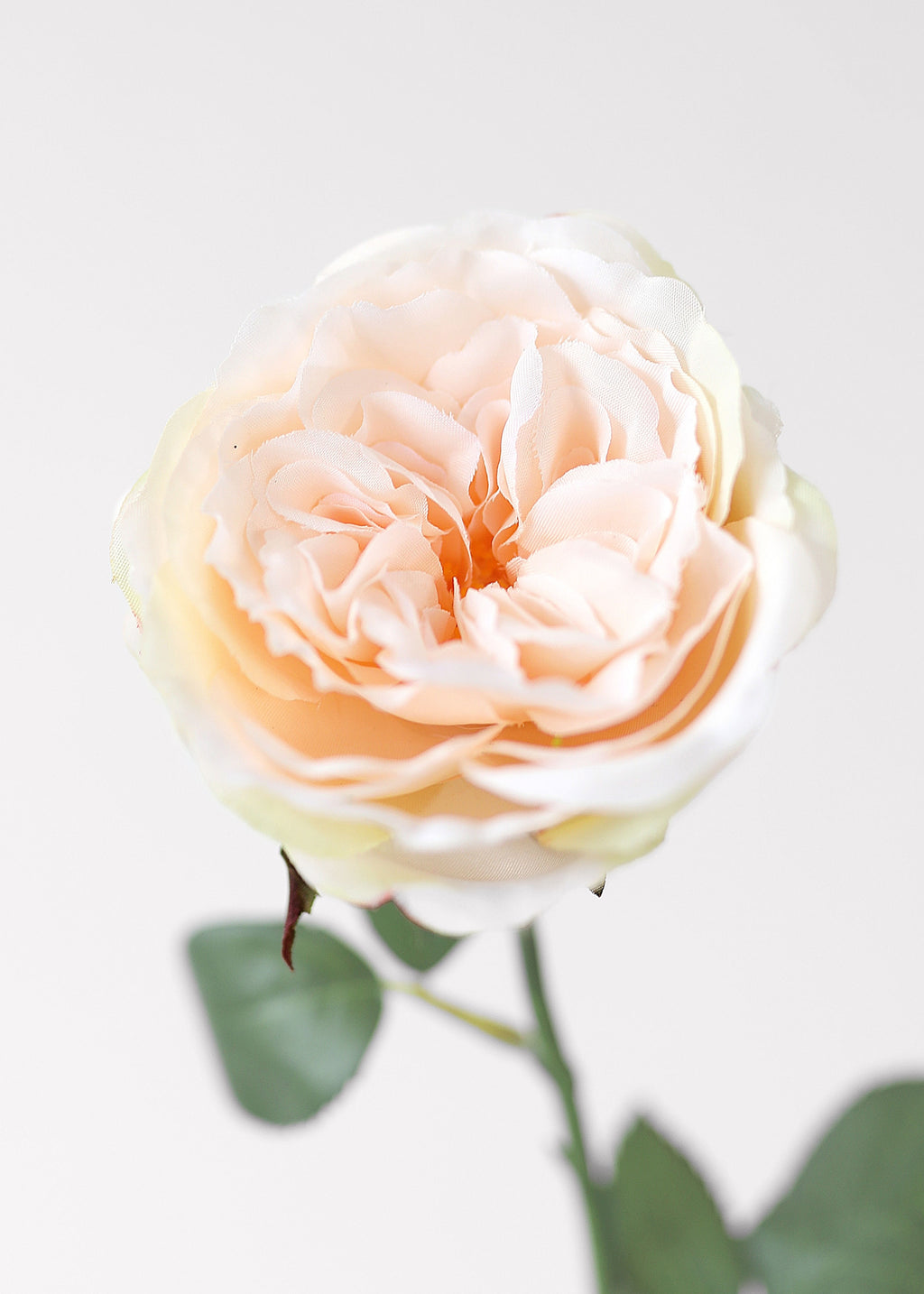 close-up of artificial apricot pink rose stem