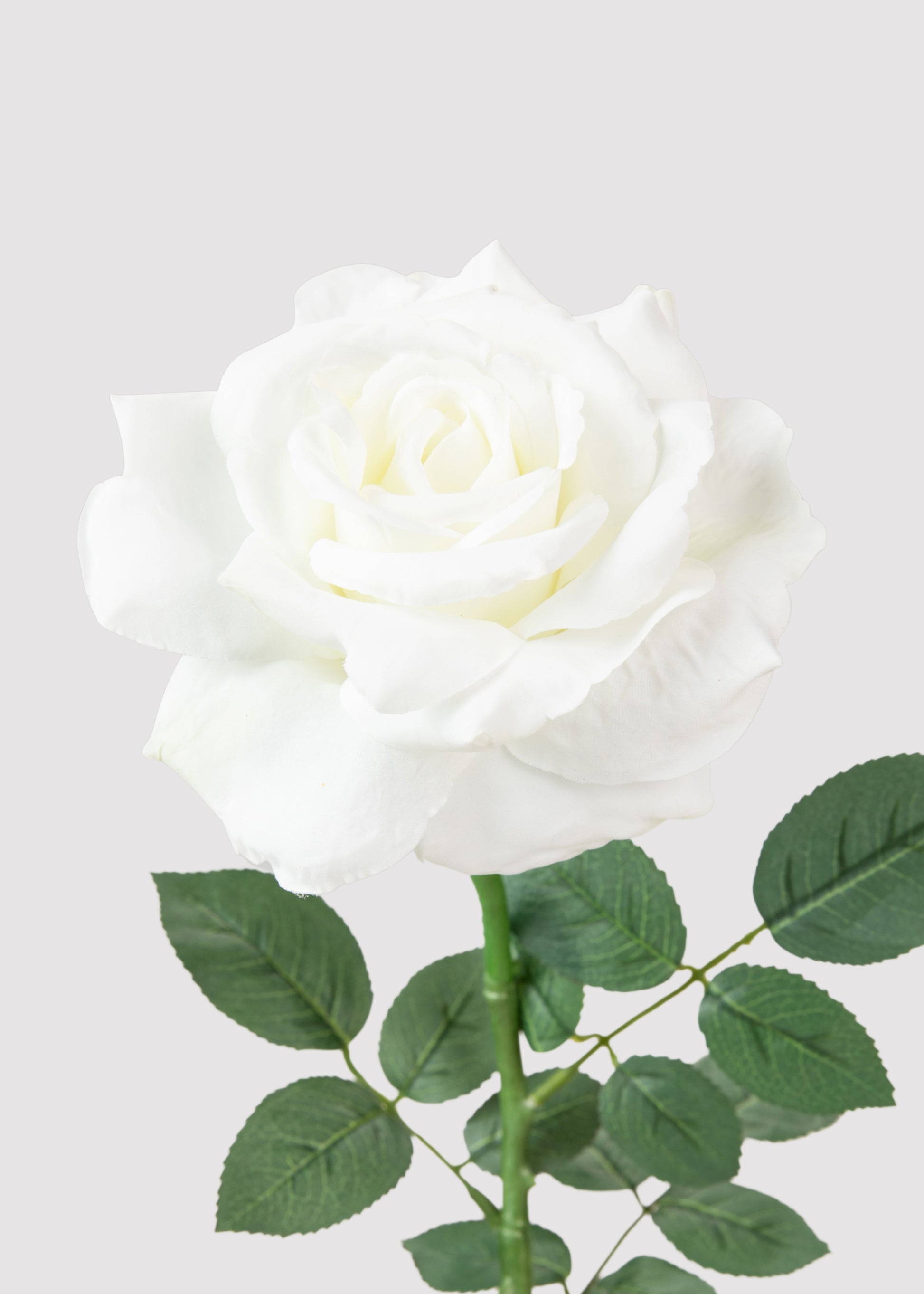 Close-up of a White Faux Diana Rose 