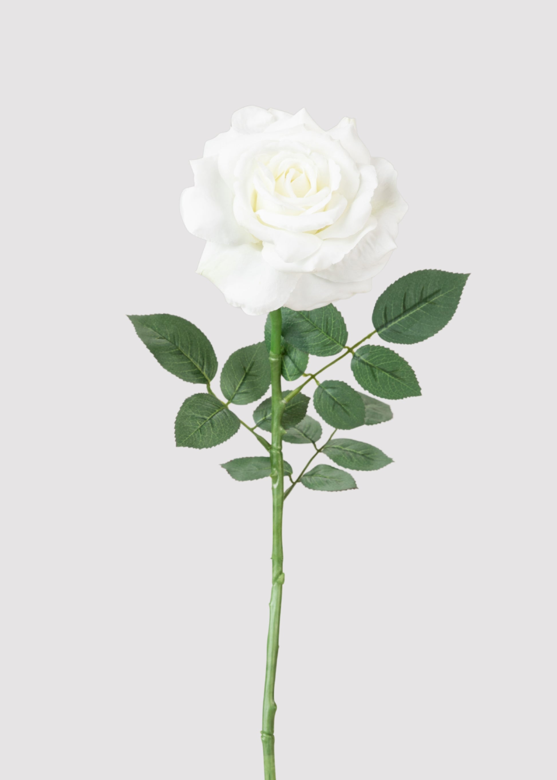 White Faux Rose 