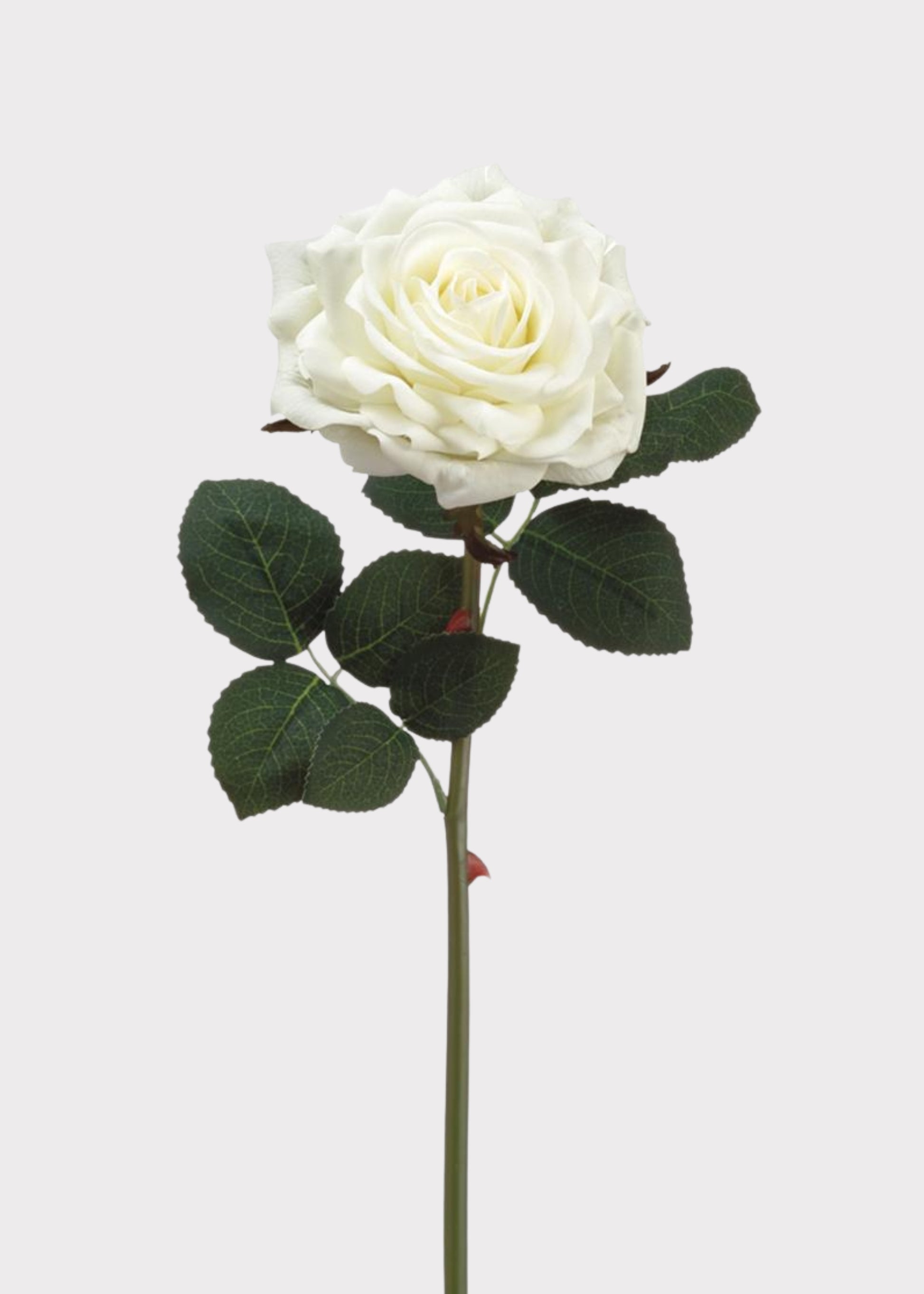 White Real Touch Rose 