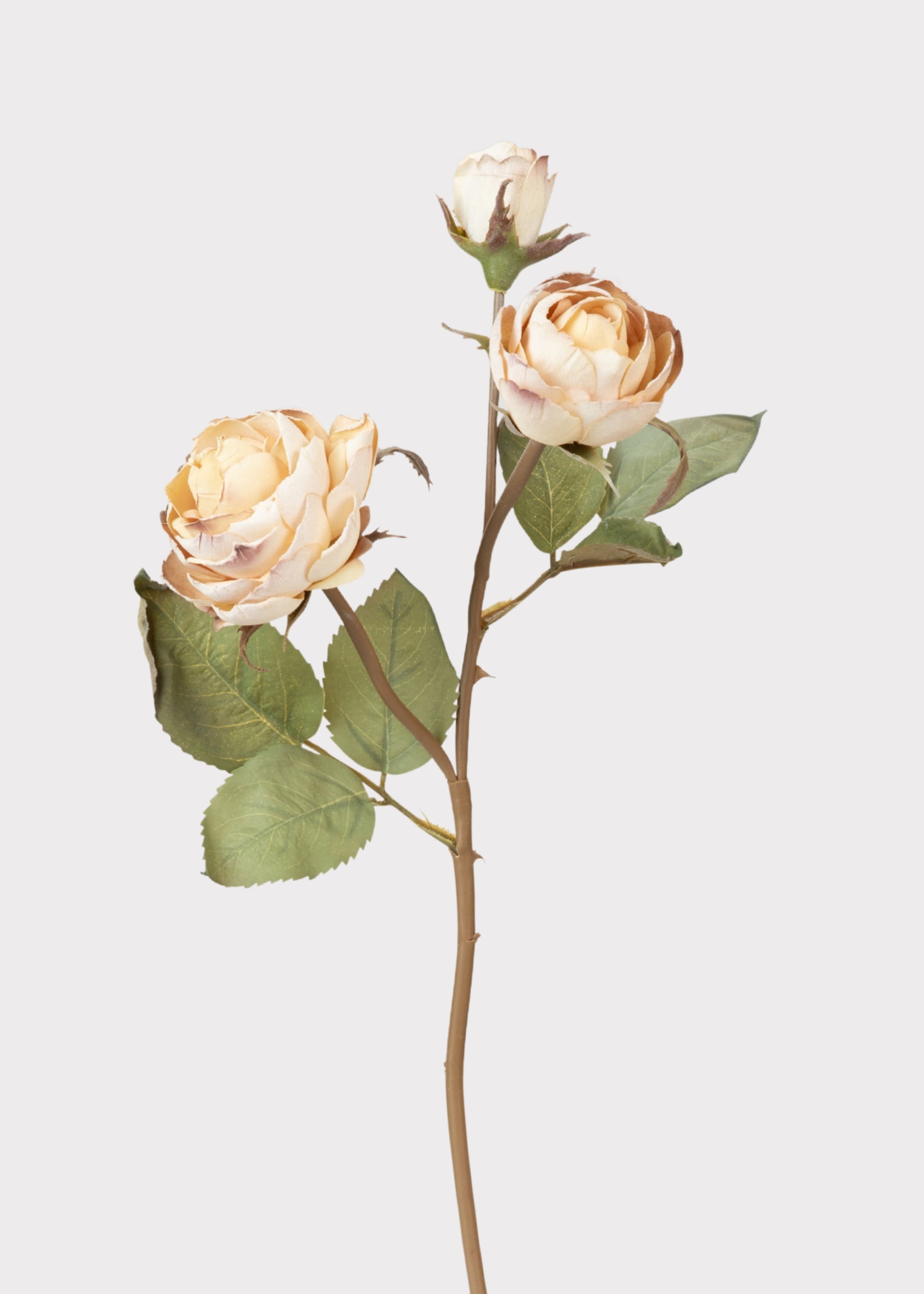 Faux Rose Spray with a Dried look