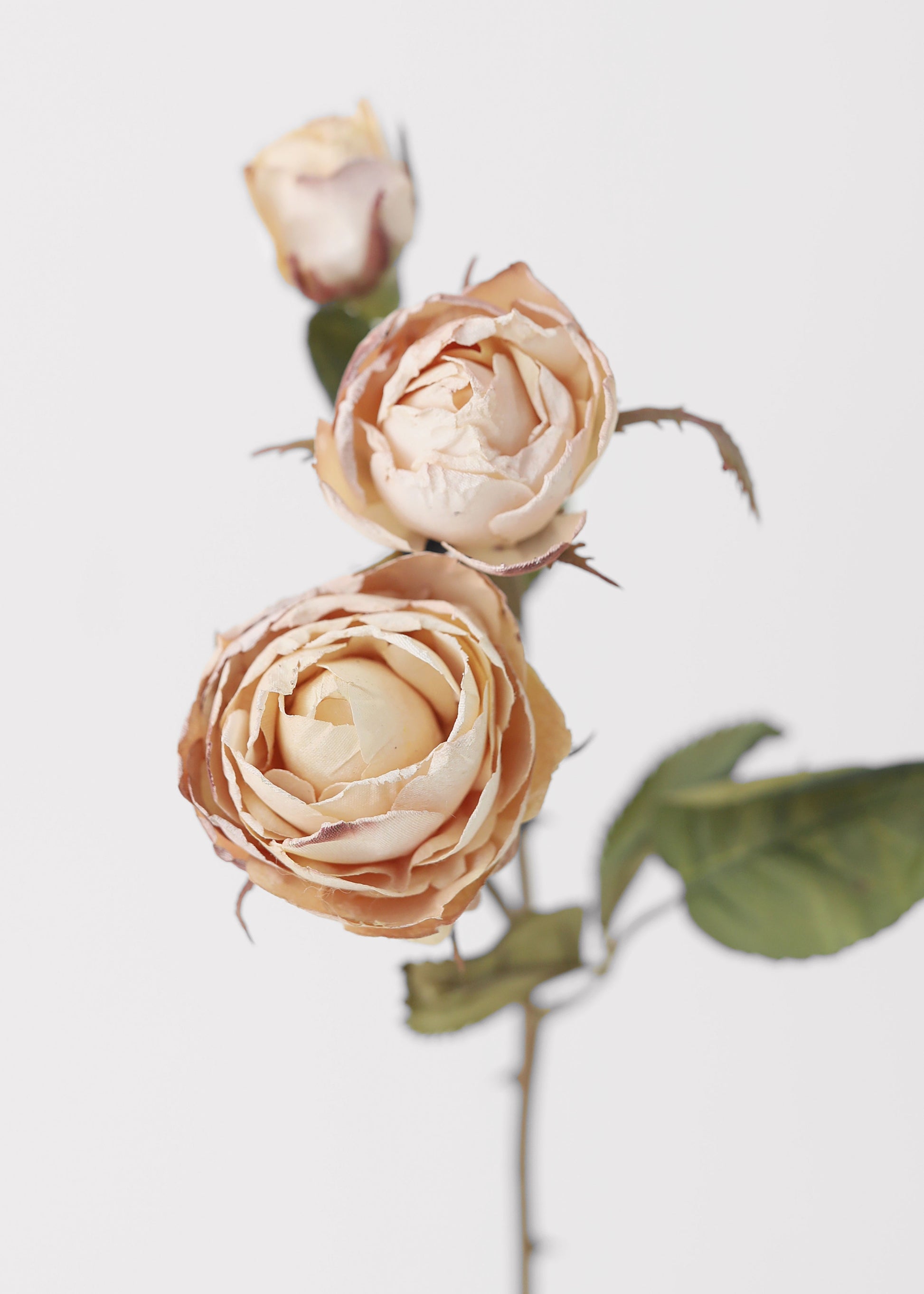 Faux Roses with a Dried look