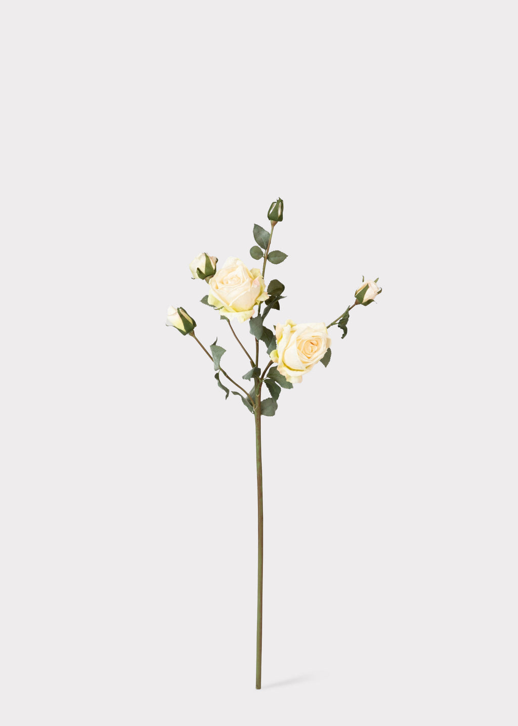 Faux Rose Buds in Cream
