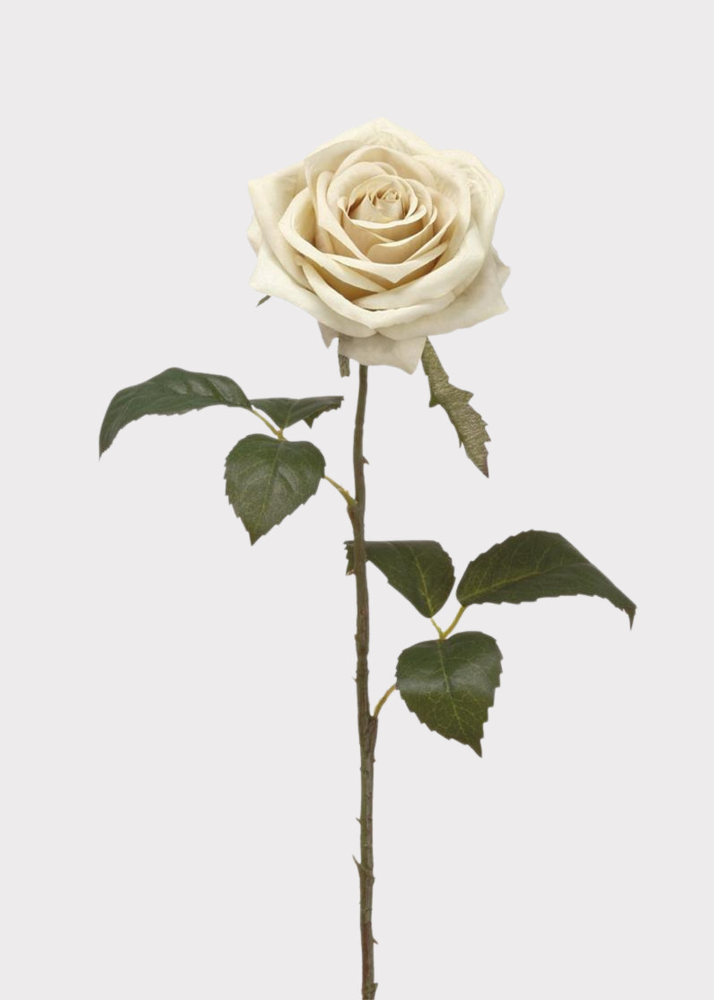 Faux Rose in Eggshell Cream