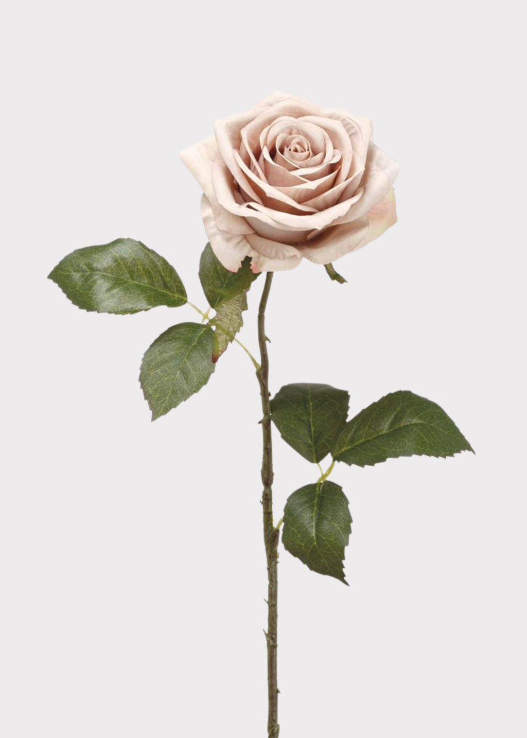 Artificial Flowers Rose in Taupe Beige