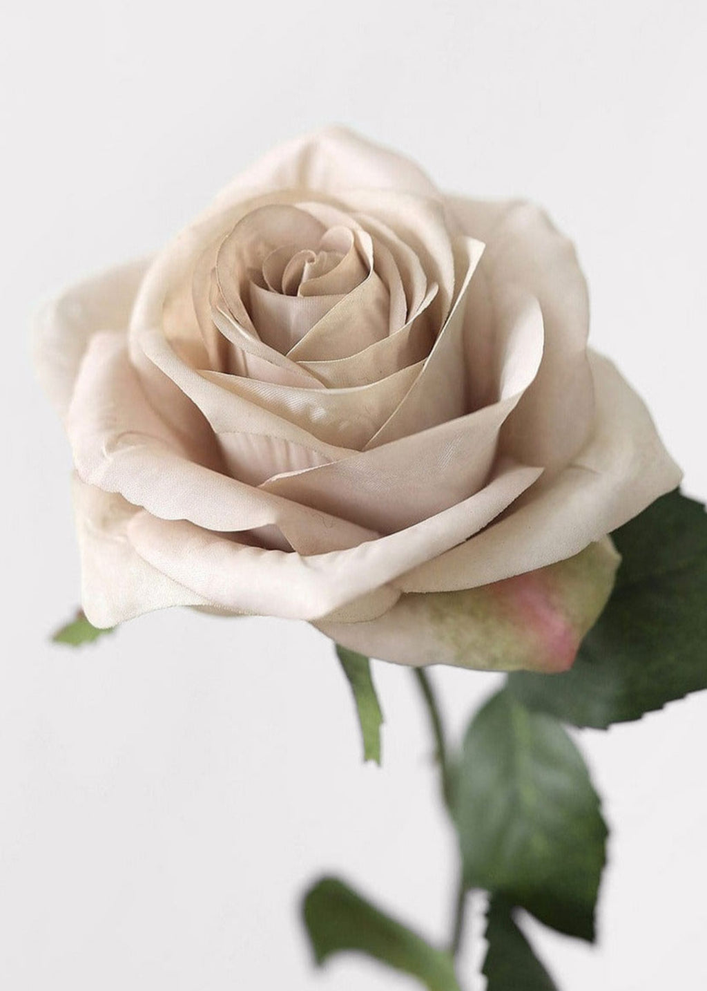 Fake Roses in Taupe Beige