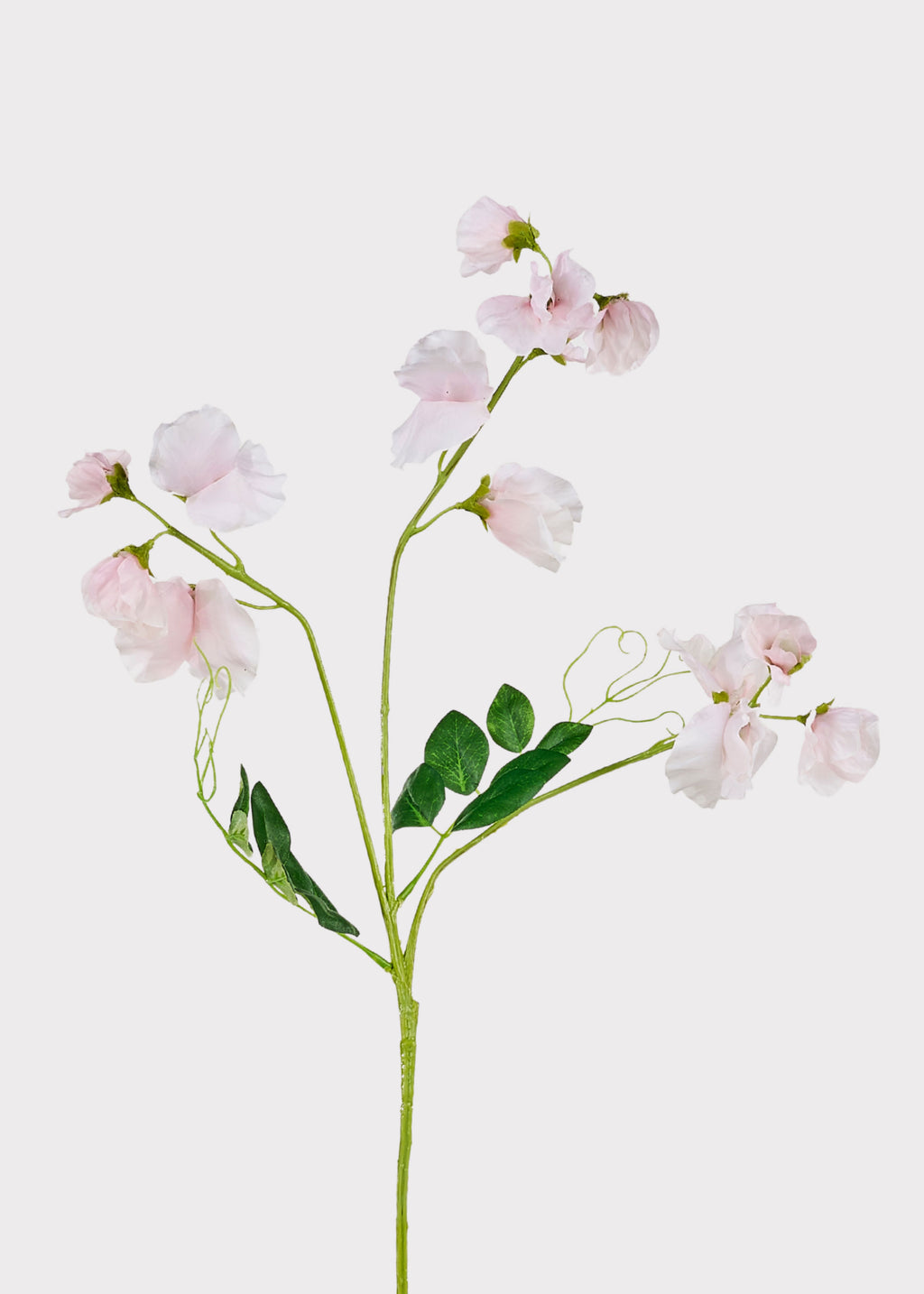 Cream Fake Sweet Pea Wildflowers
