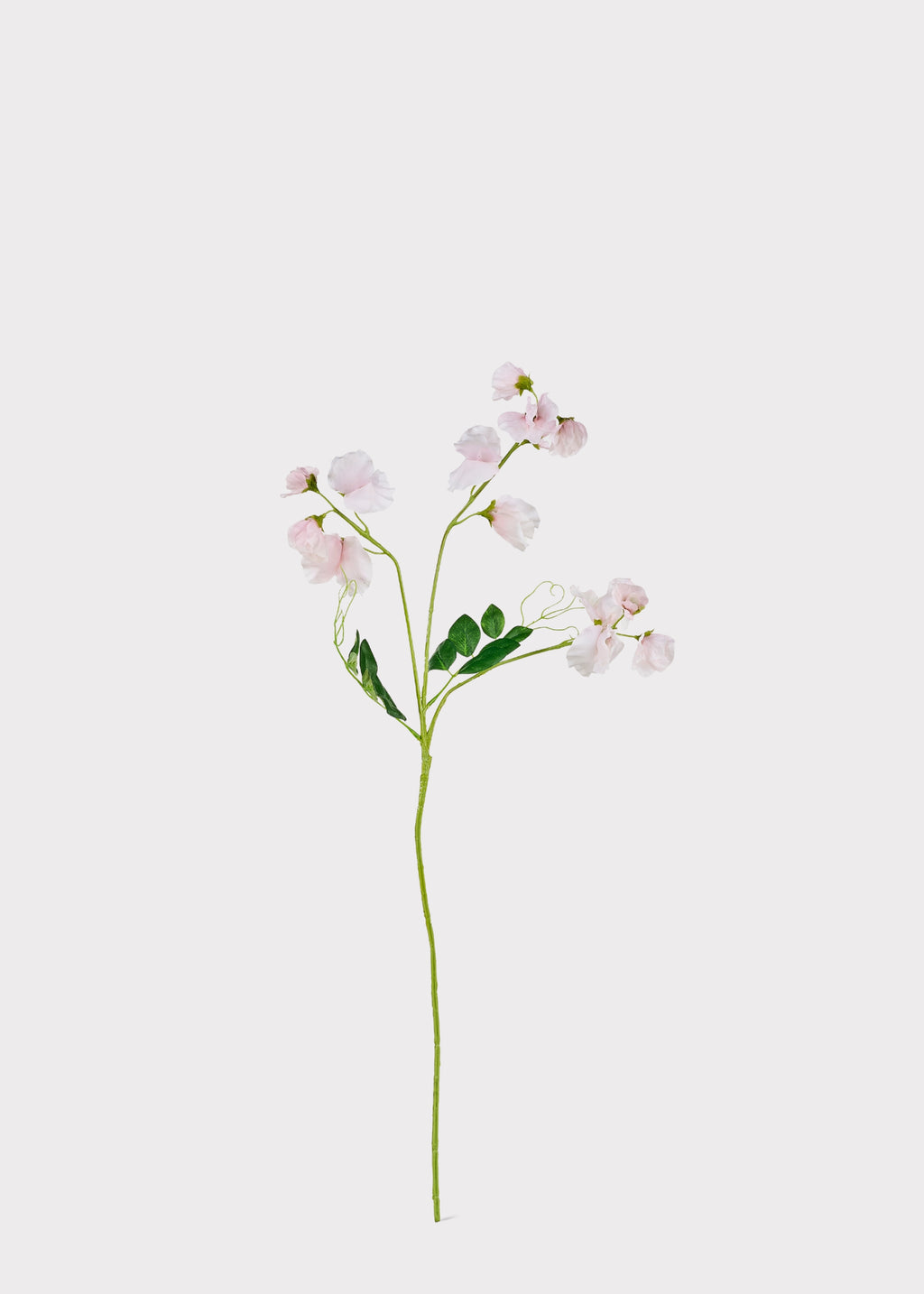 Artificial Sweet Pea Flower Stem