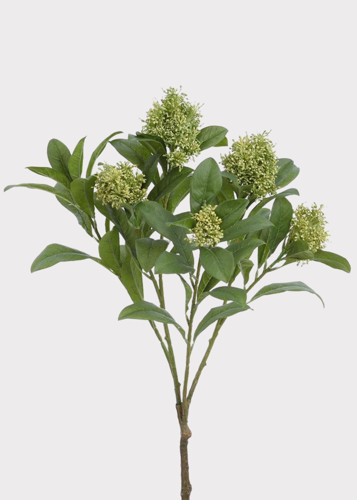 Fake Skimmia Flower Branch in Green