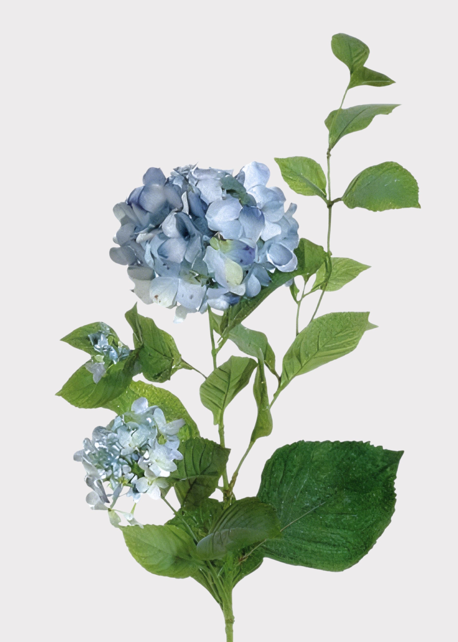 Antique Blue Faux Hydrangea Stem